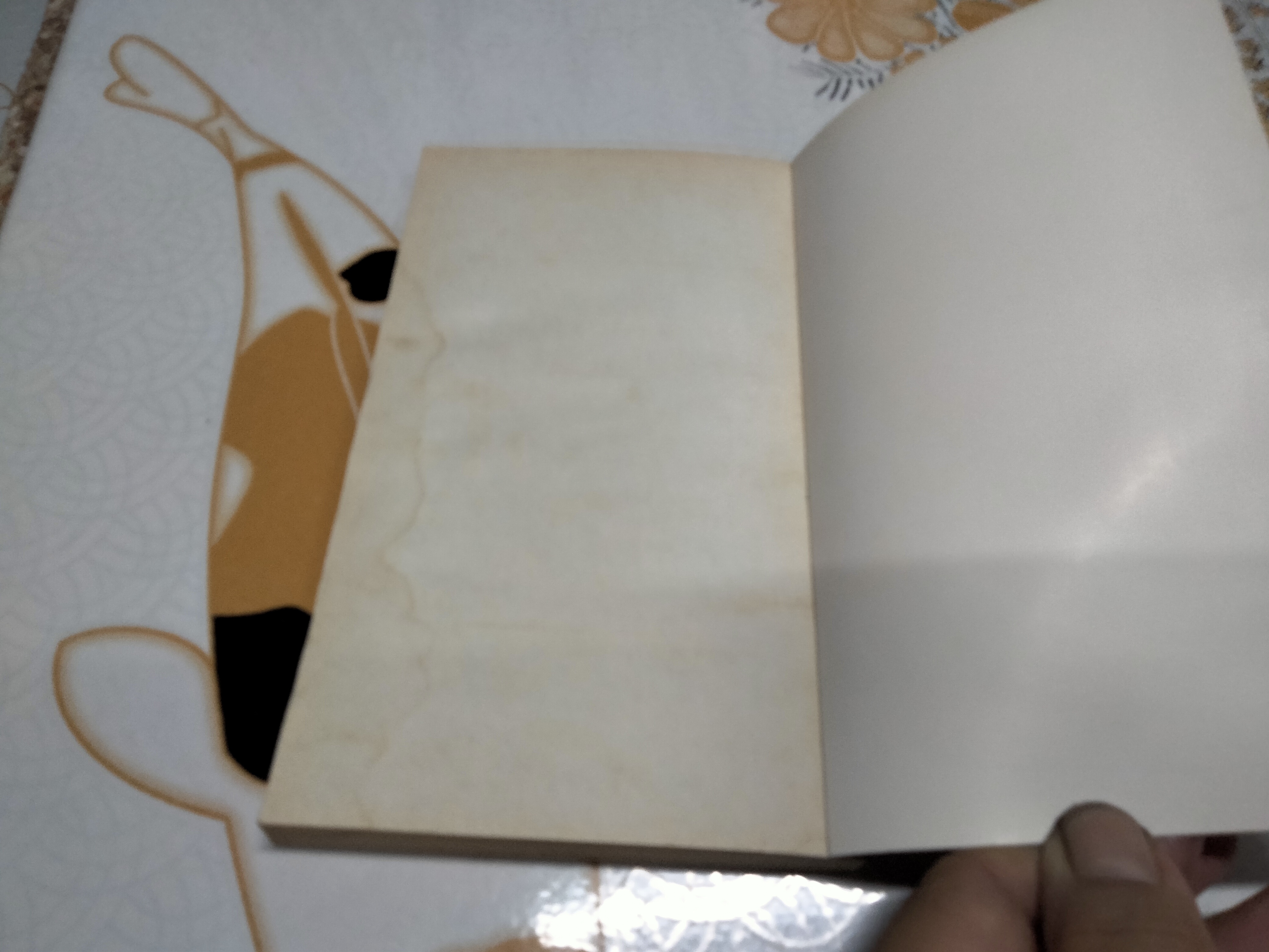 พระบางเมือบ้าน - บัญชา อ่อนดี **สินค้าหมด**