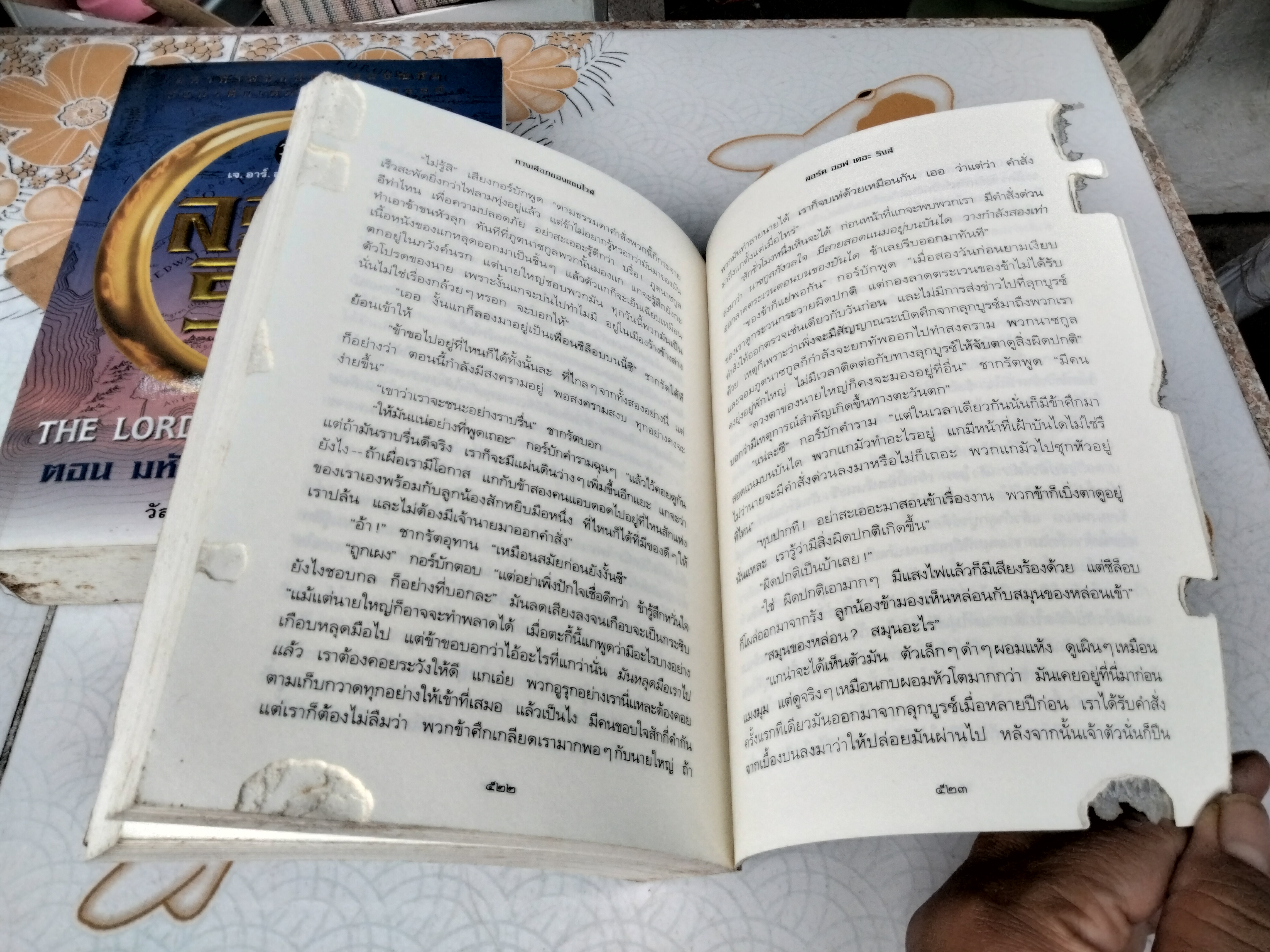 ลอร์ด ออฟ เดอะ ริงส์ ตอน มหันตภัยแห่งแหวน + หอคอยคู่พิฆาต (ขายรวม 2 เล่ม) **หนังสือตำหนิหนัก มีรอยปลวกกิน