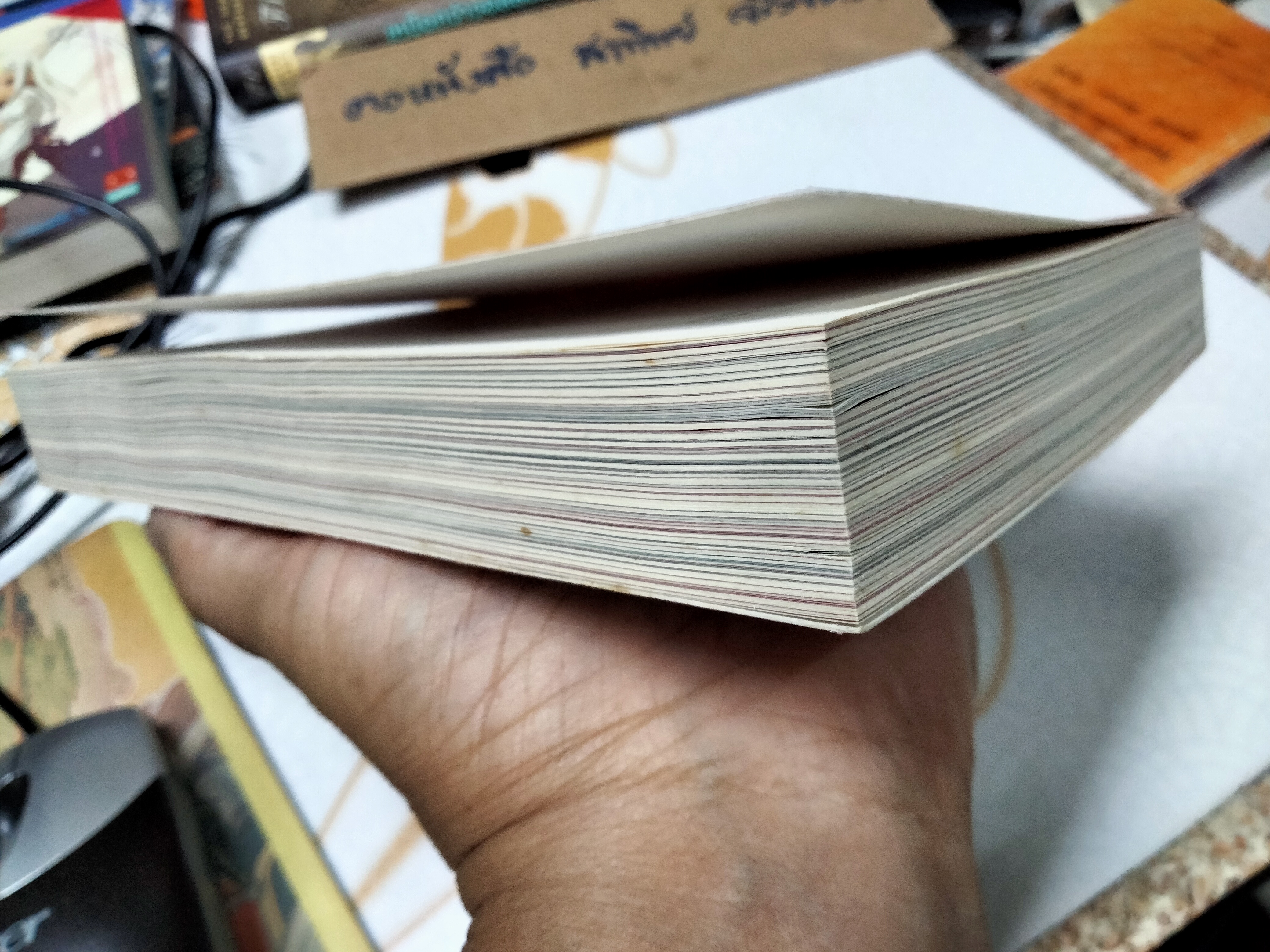 บันทึกการเดินทางของนายวิชัย มาตกุลฯ โดย วิชัย 10 DAYS IN CHINA **สินค้าหมด**