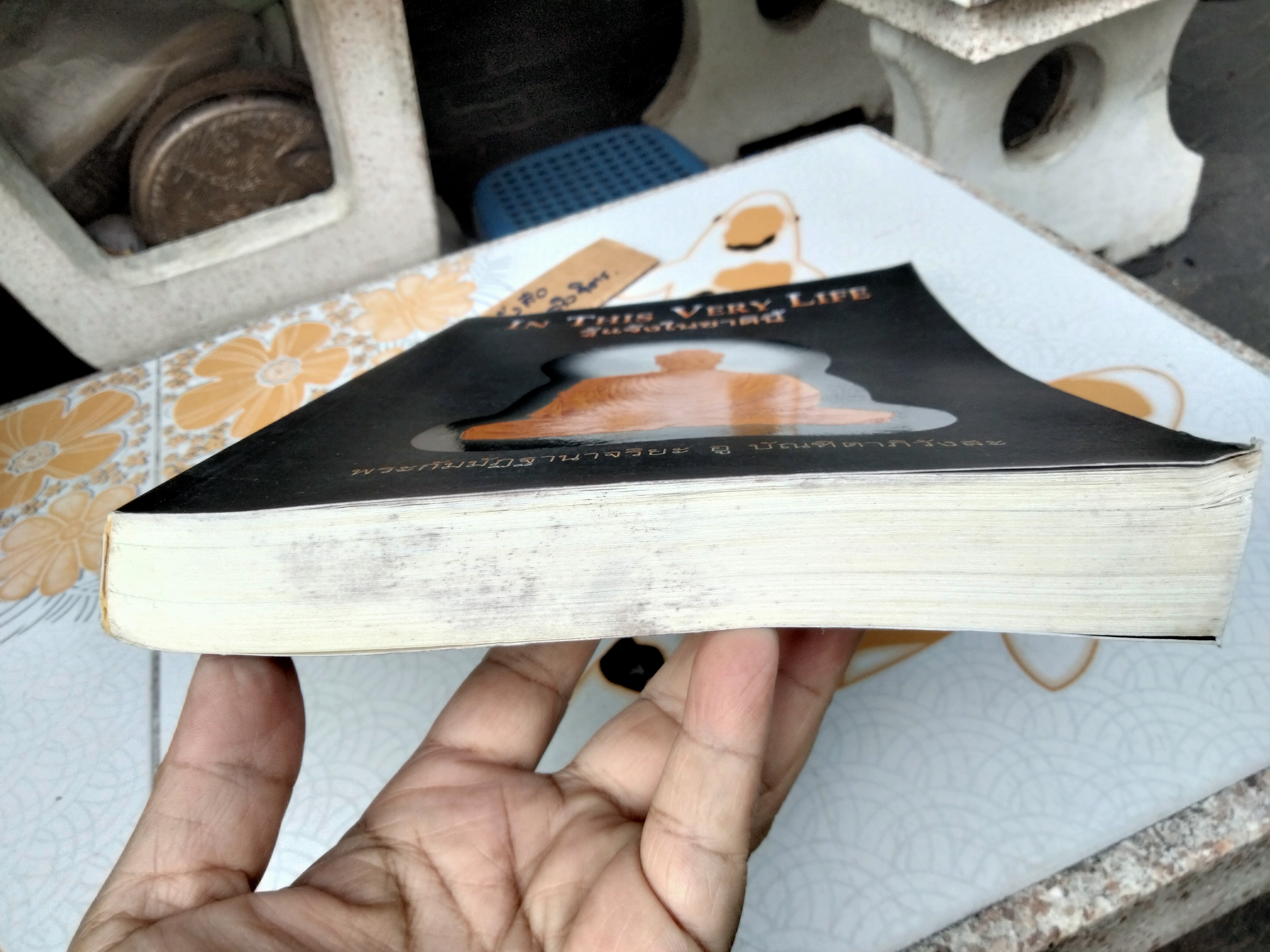 รู้แจ้งในชาตินี้ In This Very Life ผู้แต่ง: พระกัมมัฏฐานาจริยะ อู บัณฑิตาภิวังสะ พิมพ์ครั้งแรก พ.ศ.2548 **สินค้าหมด**