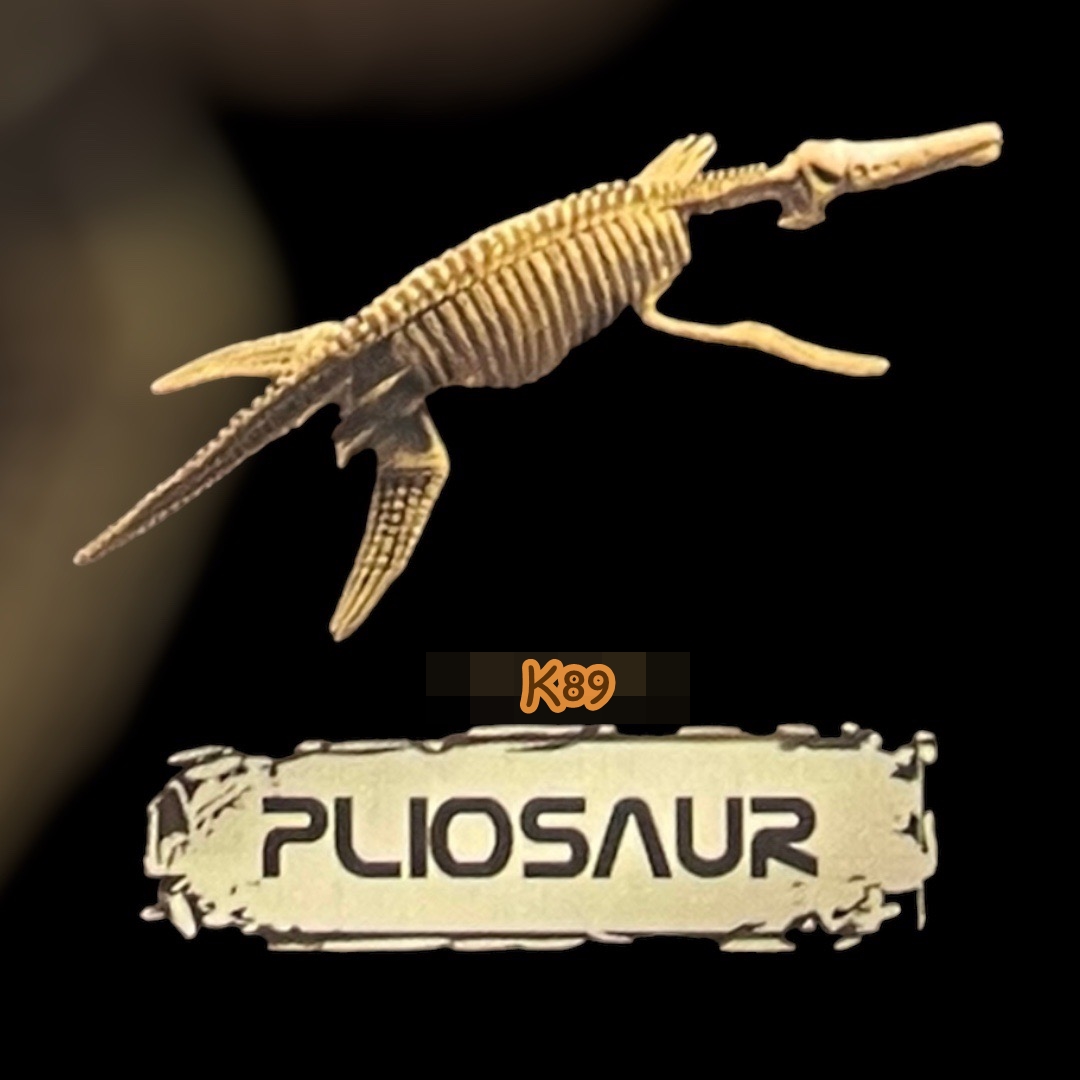 ชุดขุดฟอสซิลไดโนเสาร์