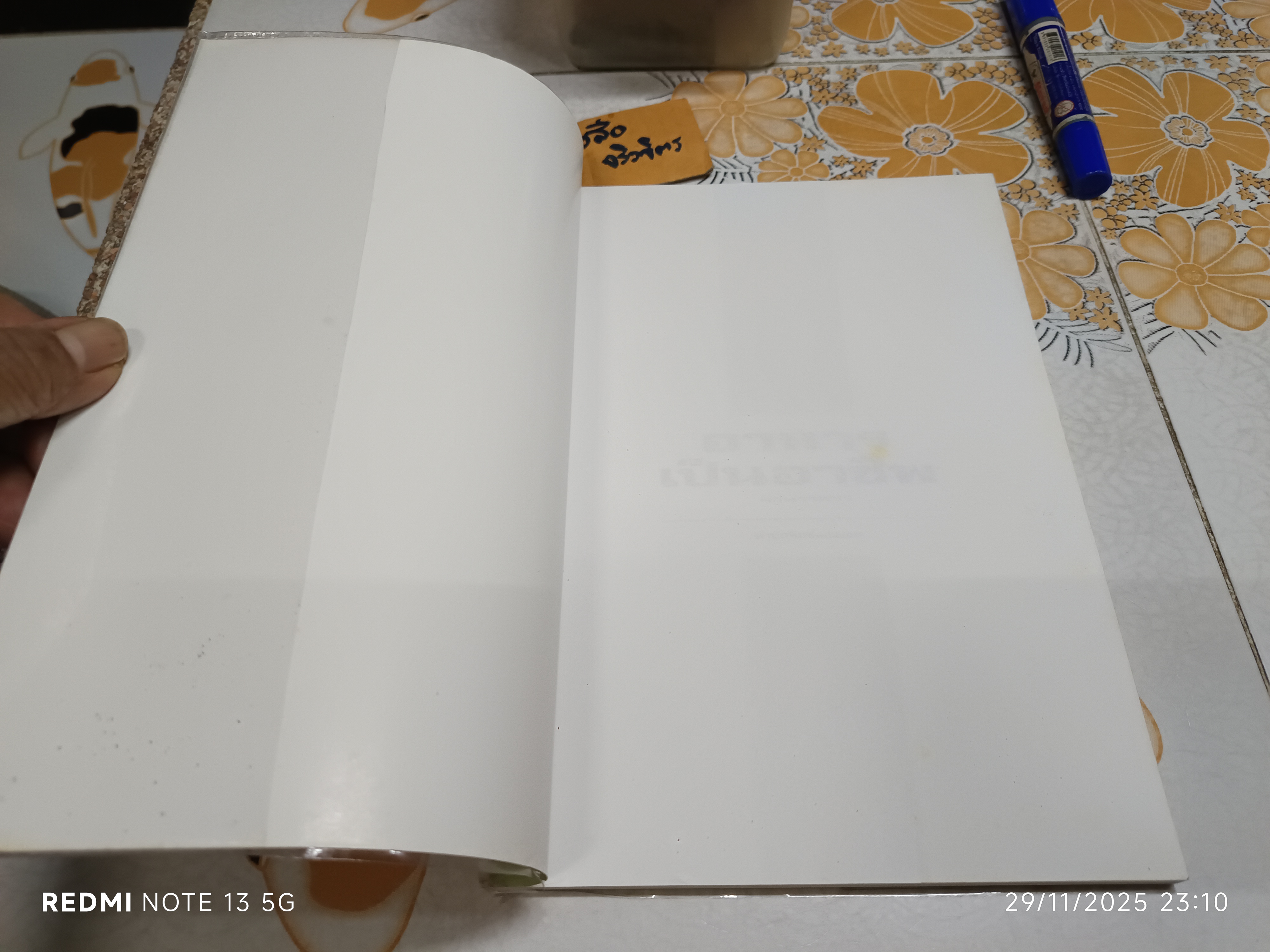 หนังสือ อาหารเป็นอาชีพ - อาหารคาว / พิมพ์ปีพ.ศ 2545 สนพ.แสงแดด