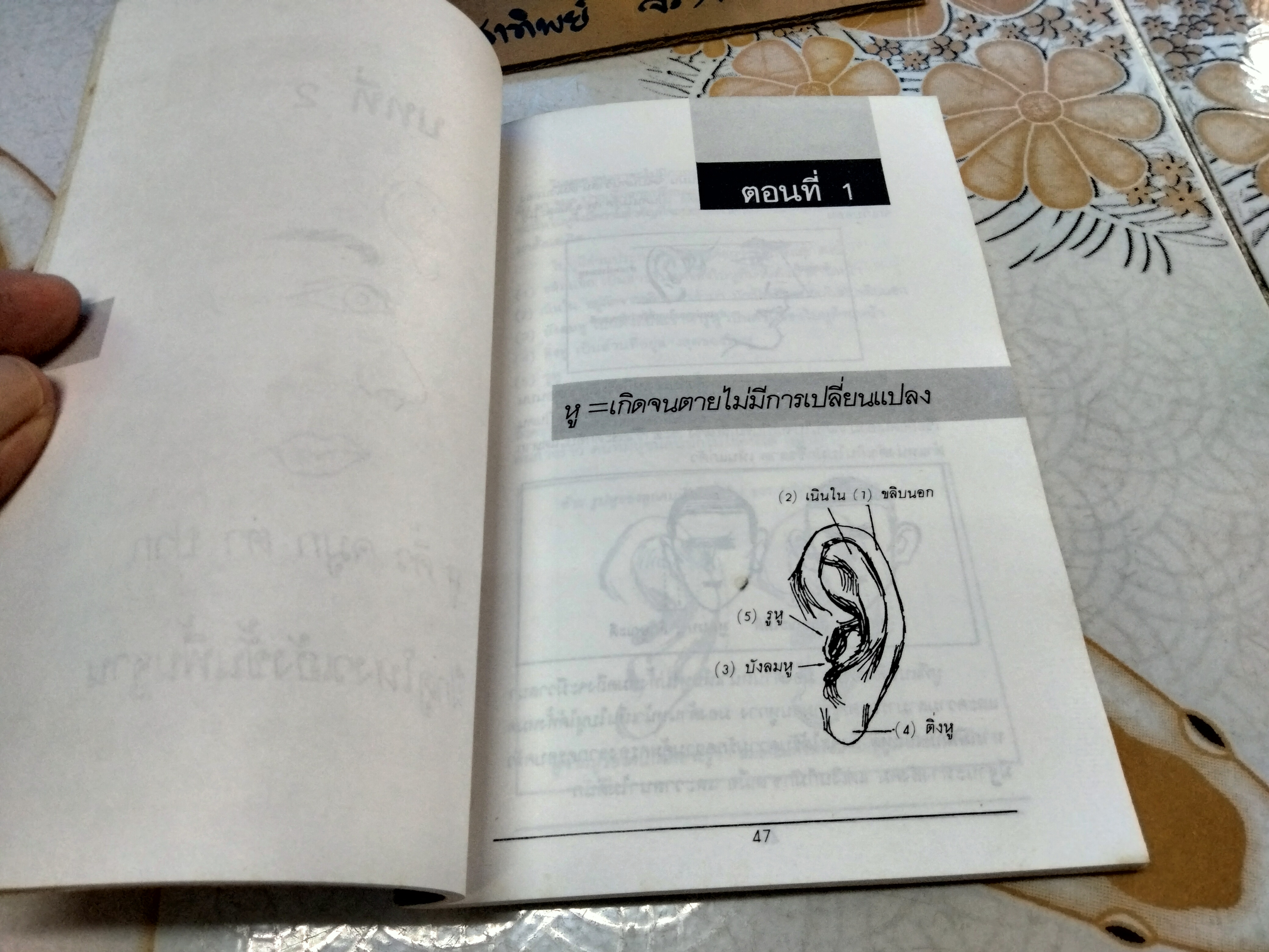 คัมภีร์นรลักษณ์ โดย คเณศ สำนักพิมพ์นานมี **สินค้าหมด**