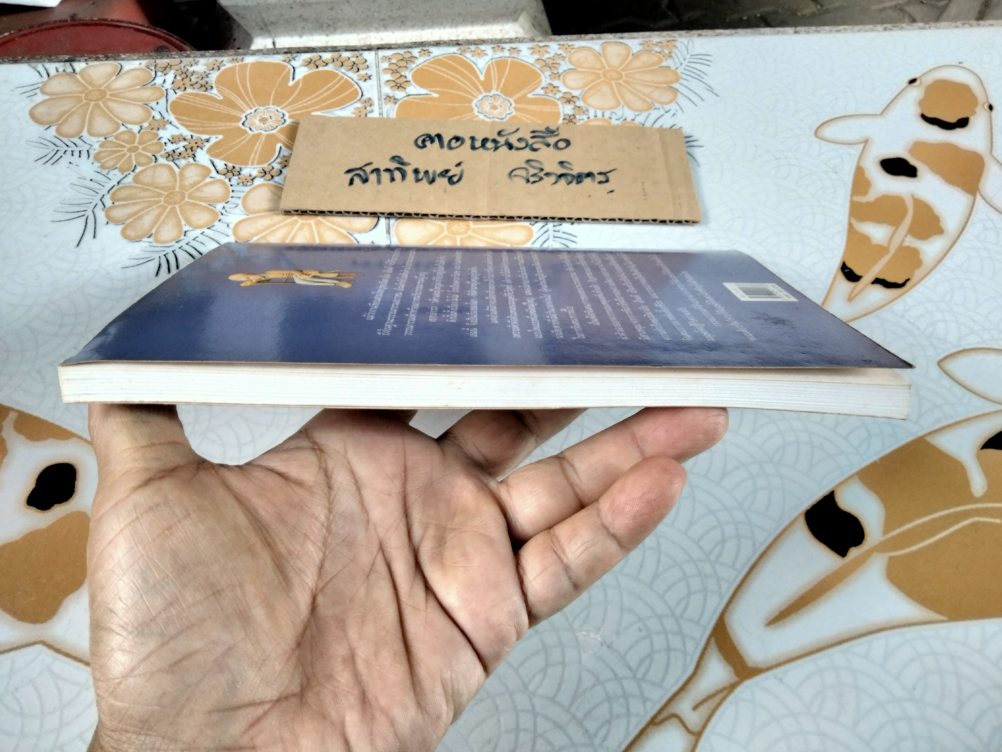 ดินแดนหลับสบาย (DIE ZAUBERSCHULE UND ANDRER GESCHICHTEN) พิมพ์ครั้งแรก กุมภาพันธ์ 2541 - แพรวเยาวชน **สินค้าหมด**