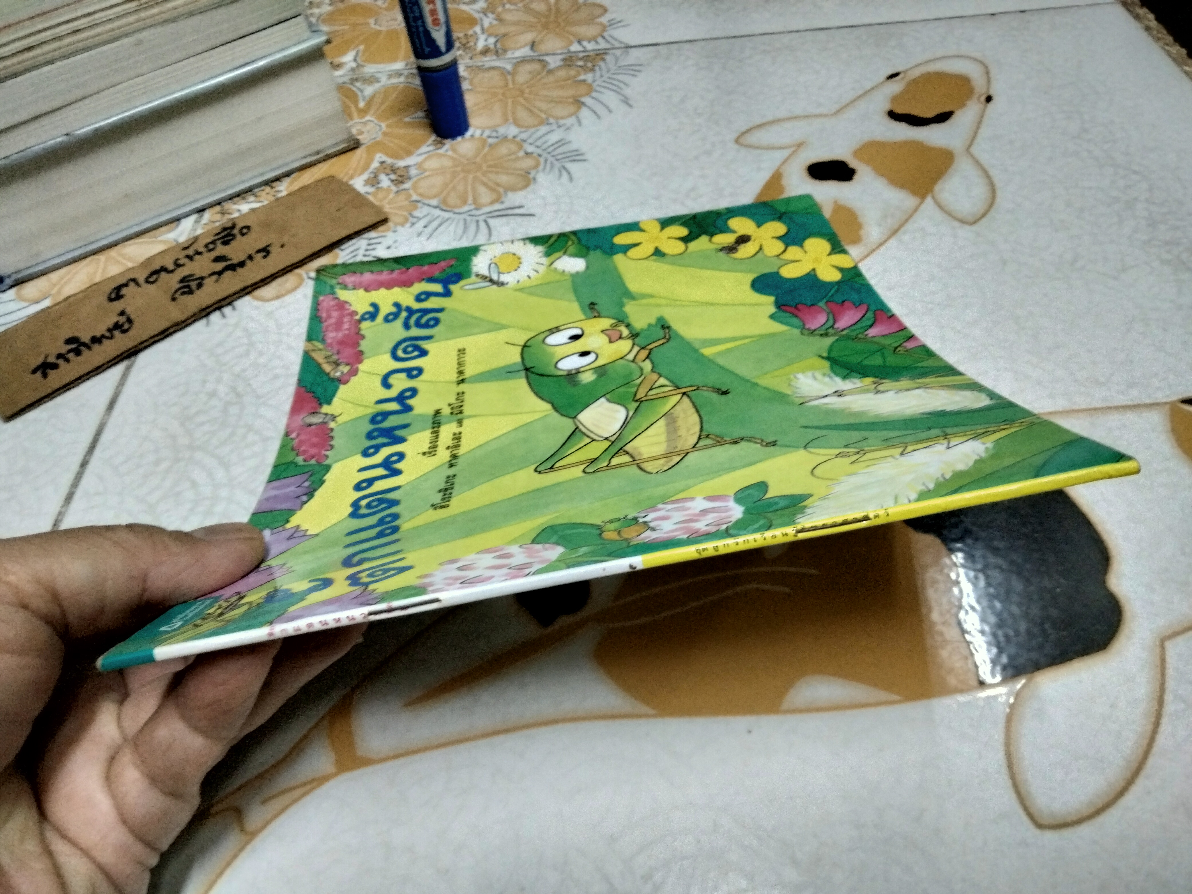 ตั๊กแตนหนวดสั้น หนังสือชุด ลูกรักเรียนรู้วิทยาศาสตร์