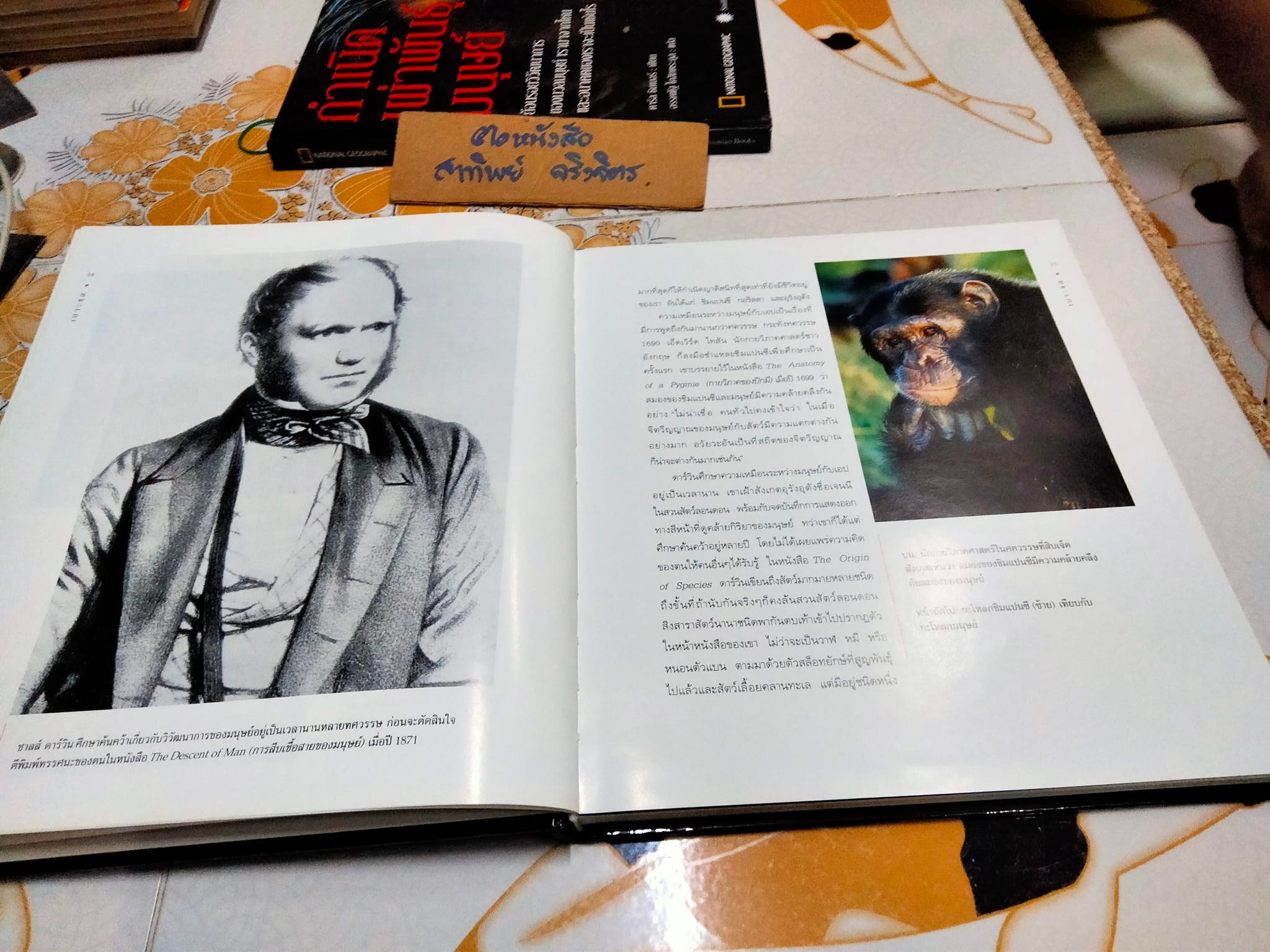 กำเนิดเผ่าพันธุ์มนุษย์ คาร์ล ซิมเมอร์ เขียน - อรรคพัฐโกสิยตระกูล แปล (NATIONAL GEOGRAPHY ปกแข็ง) **สินค้าหมด**