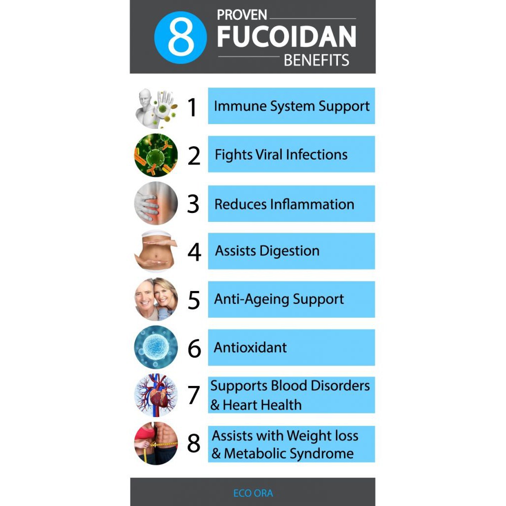 Best Fucoidan 70% ฟูคอยแดน 60 Veggie Caps (Doctor's Best) ลดน้ำตาลในเลือด ช่วยเพิ่มระบบภูมิคุ้มกัน ดูแลรักษาเนื้อเยื่อ