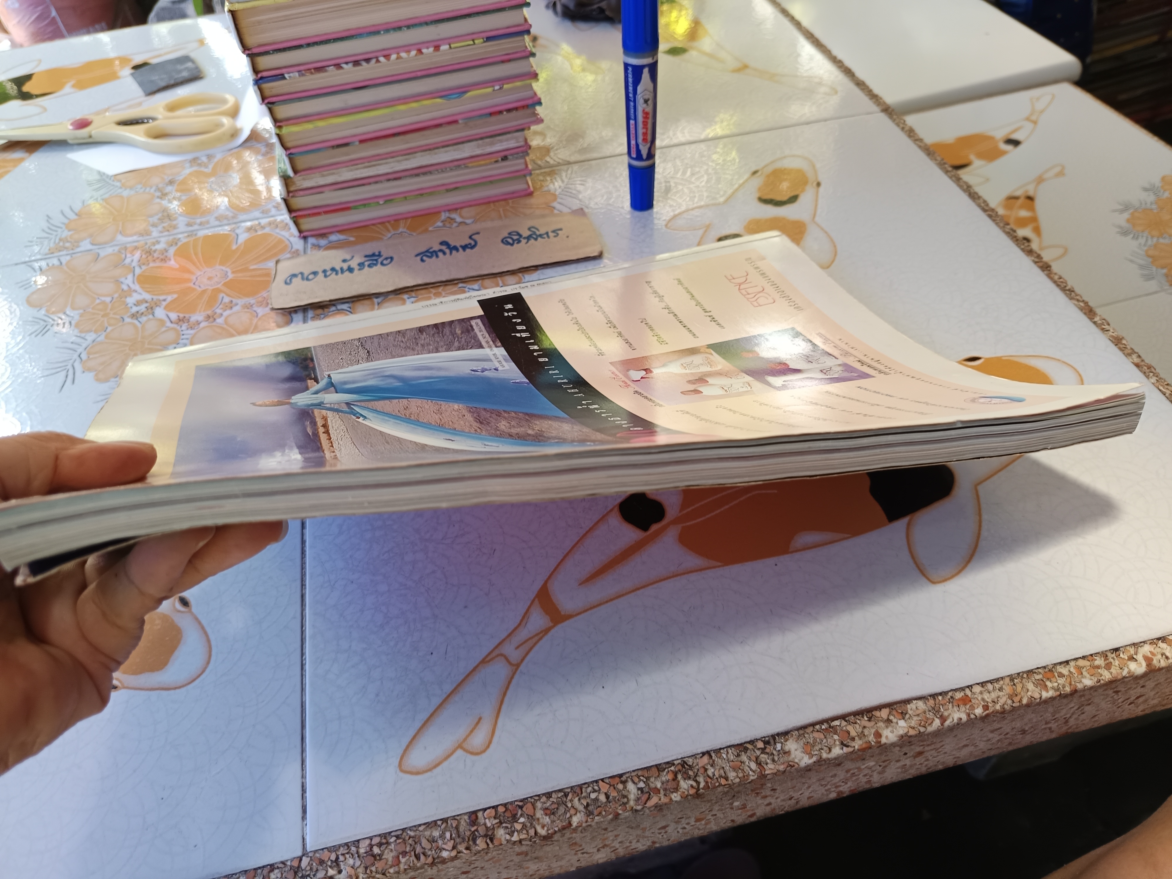 Image ปีที่ 9 ฉบับที่ 6 พ.ศ 2539 / ปก มาช่า วัฒนพานิช