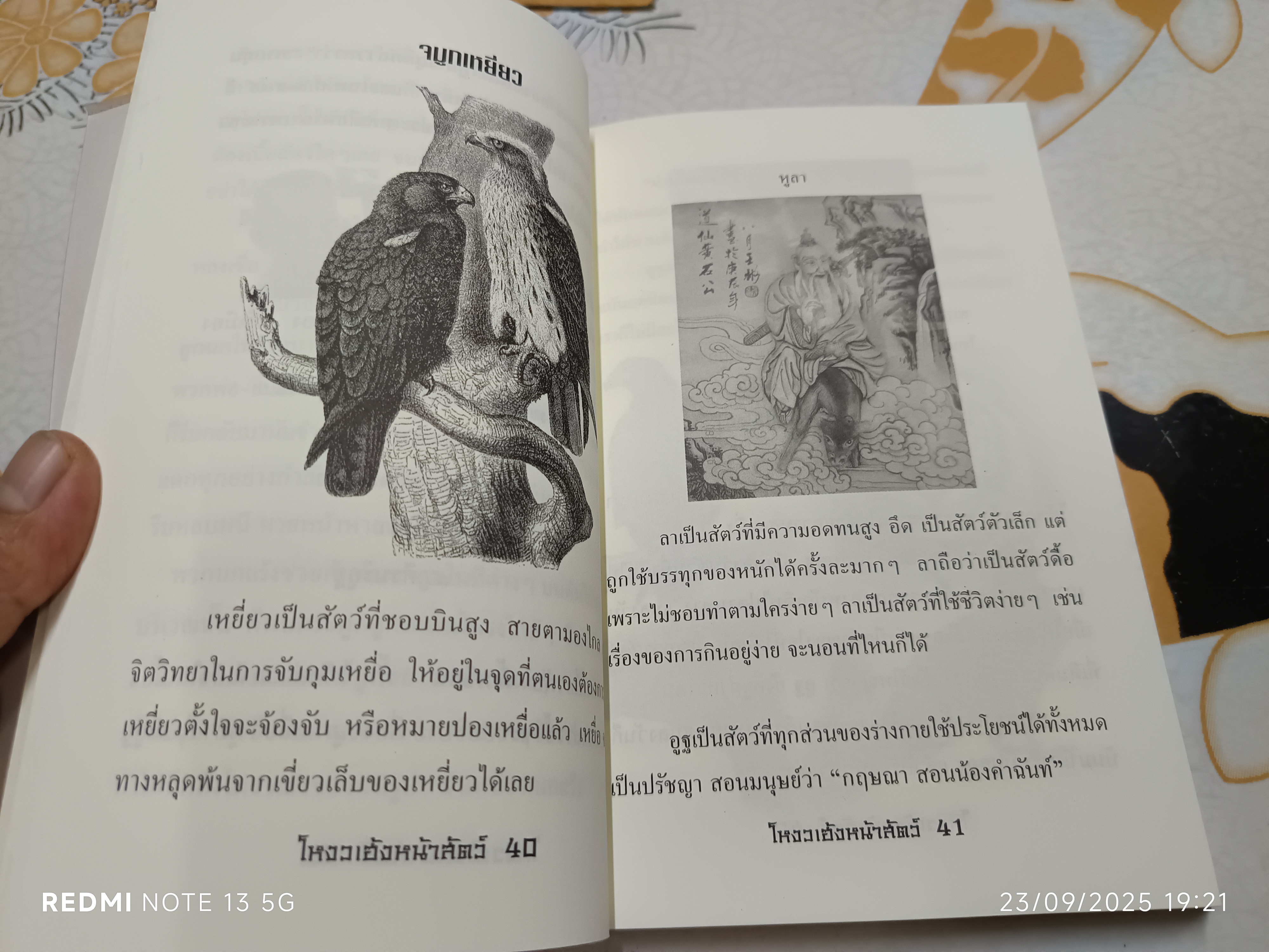 โหงวเฮ้งหน้าสัตว์ อ.สัมพันธ์ กำบังภัย พิมพ์ครั้งแรกพ.ศ 2550 สำนักพิมพ์ดาวแดง **สินค้าหมด**