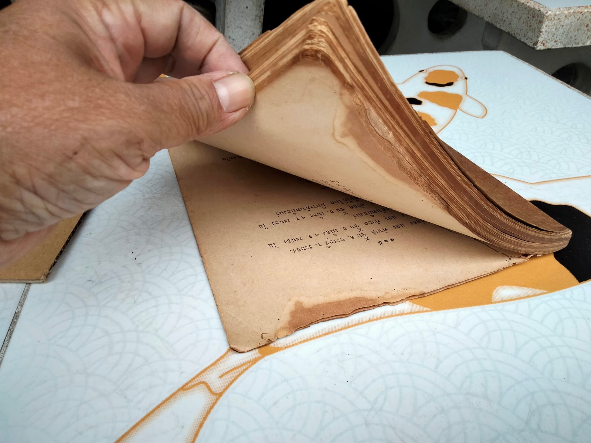 ประชุมพงศาวดาร ภาคที่ 50 เรื่องตำนานเมืองระนอง