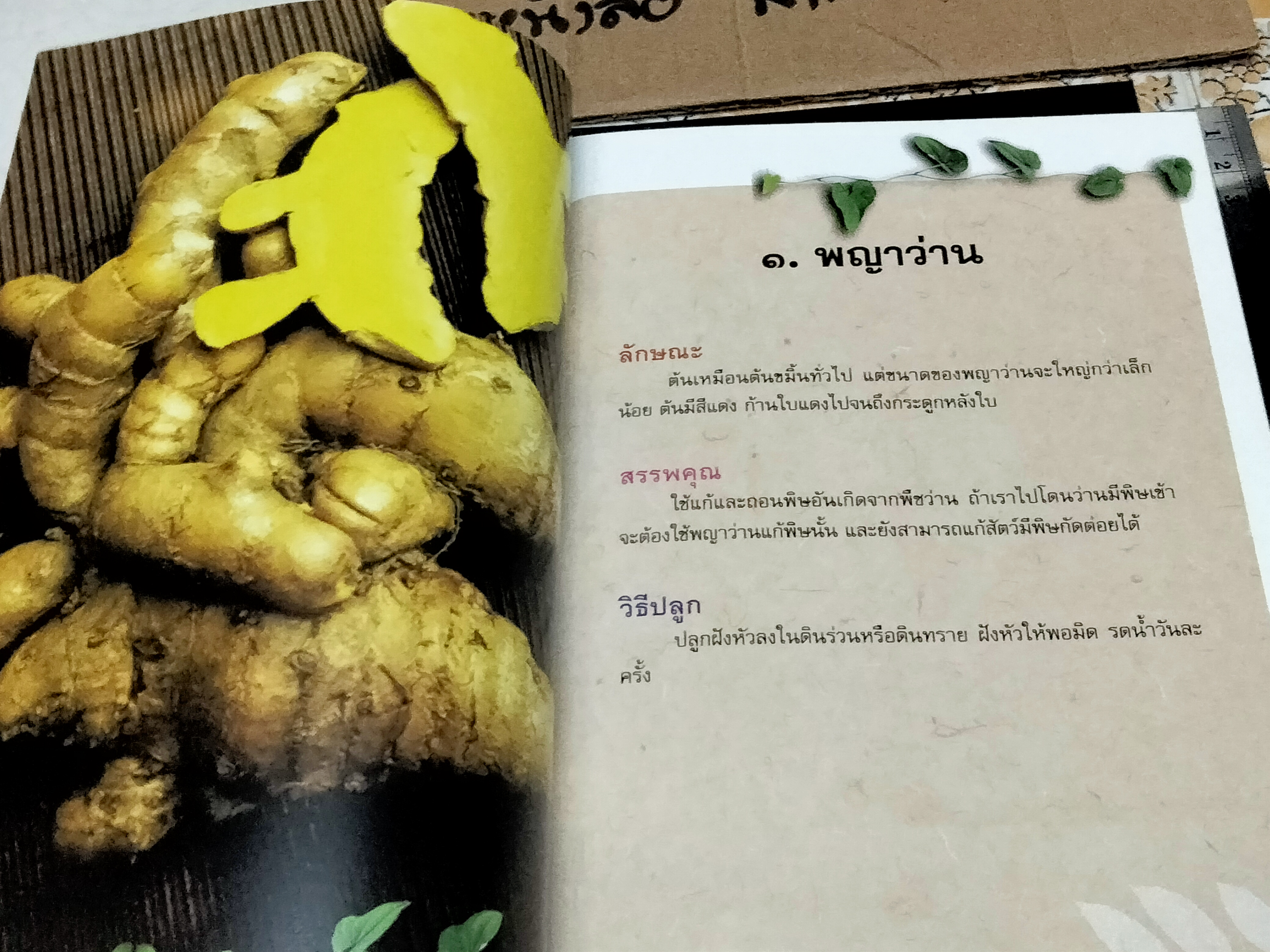 หนังสือ ตำนานว่านไทย โดย ชมรมว่านมหาเศรษฐี