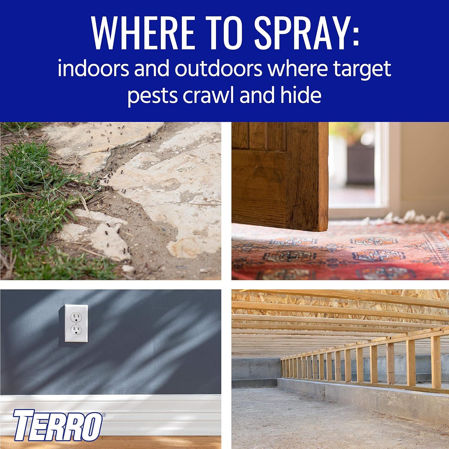 TERRO® T2302-6 Spider Killer Spray 453gสเปรย์กำจัดแมงมุม และแมลง