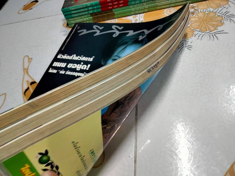 นิตยสารทีวีพูล ฉบับเก่าๆ - ฉ.294 (12-18 มกราคม 39) ปก แนน ปรางค์วลัย