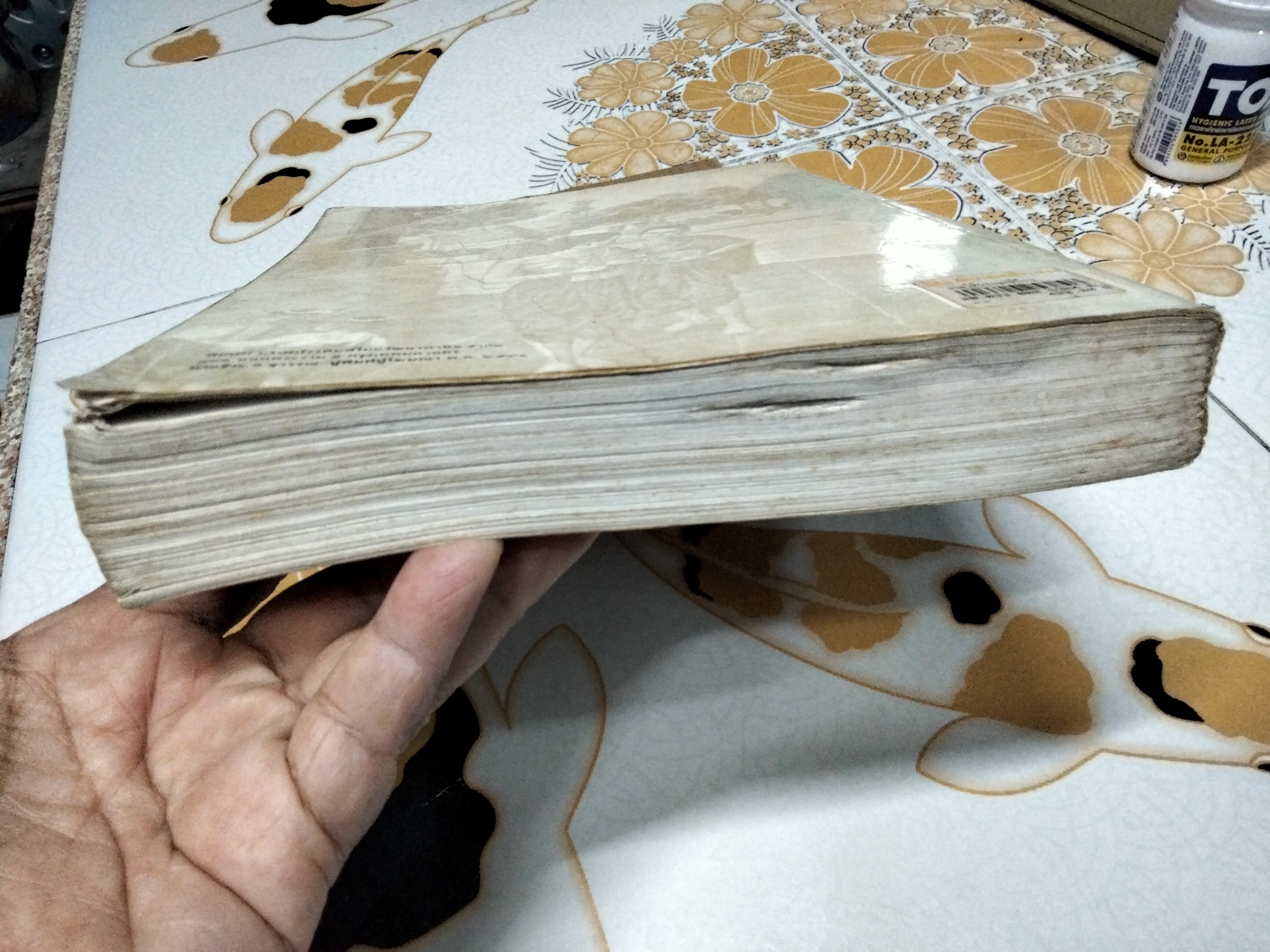 ประวัติวรรณคดีไทย โดย เปลื้อง ณ นคร (หนังสือสภาพพอใช้) **สินค้าหมด**