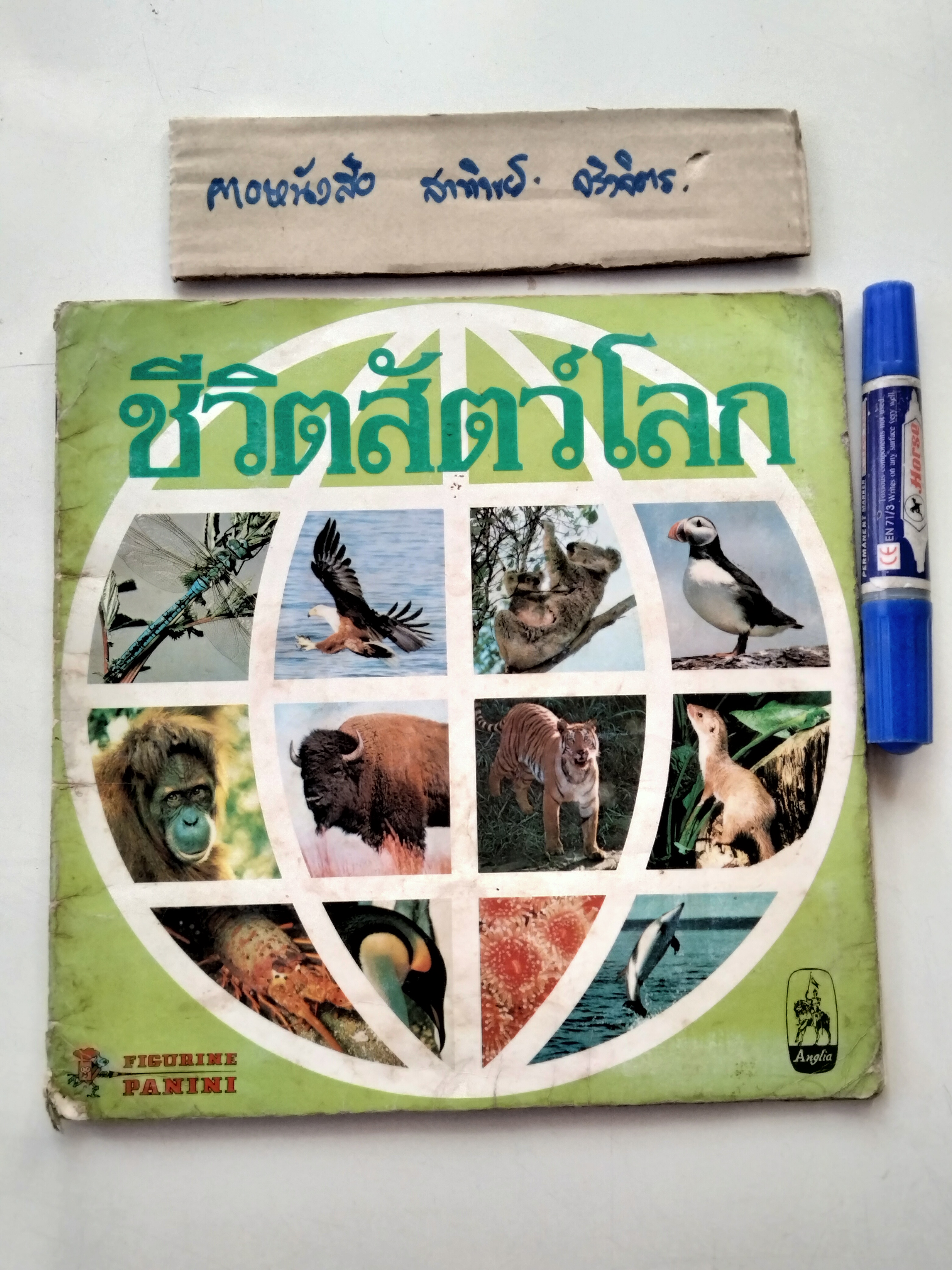 สมุดสะสมสติกเกอร์ ชีวิตสัตว์โลก (แปะครบ 240 รูป) หนังสือมือสอง สภาพพอใช้ **สินค้าหมด**
