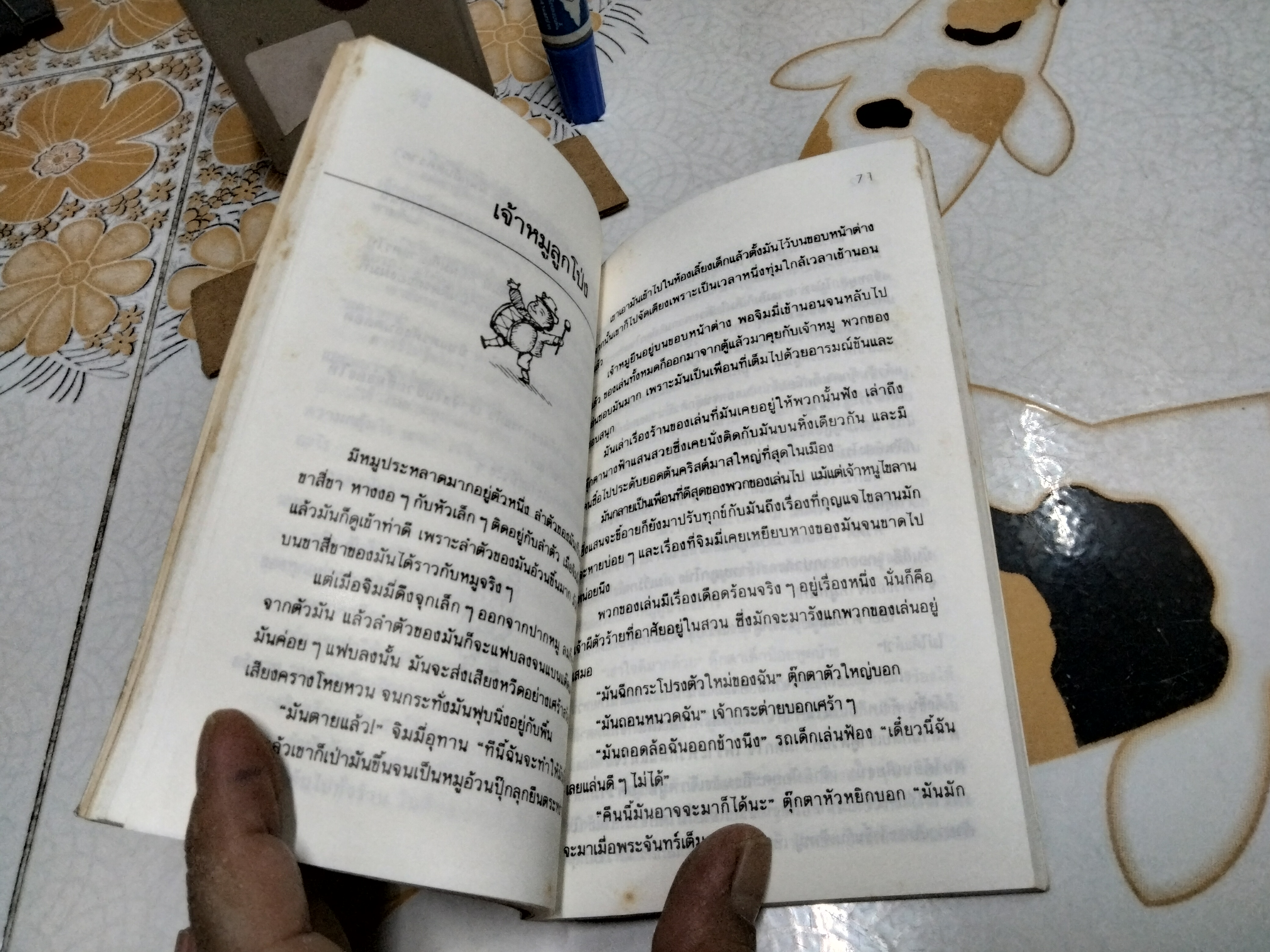 เจ้าหมูลูกโป่ง (The Blue Story Book) ผลงานของ อีนิด ไบลตัน (Enid Blyton) แปลโดย คำรุ้ง **สินค้าหมด**