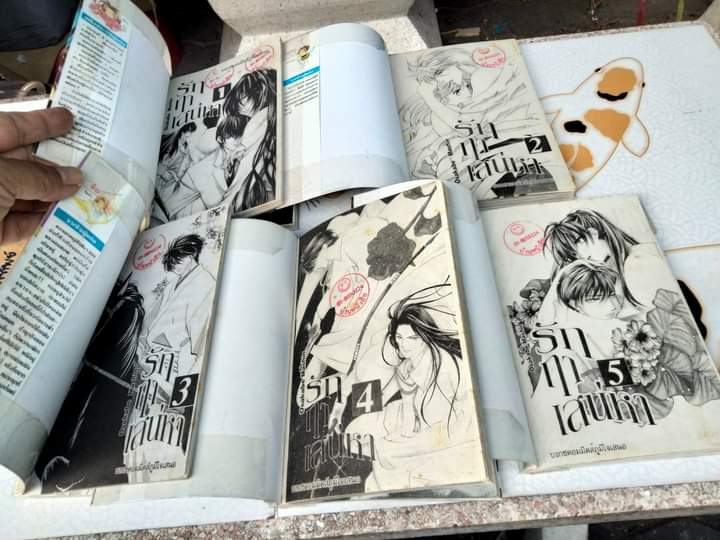 รักฤาเสน่หา (5 เล่มจบ-เช่า สภาพดี) ผลงานขุ โอซาคาเบะ มาชิน , ผู้วาด กรงรัก