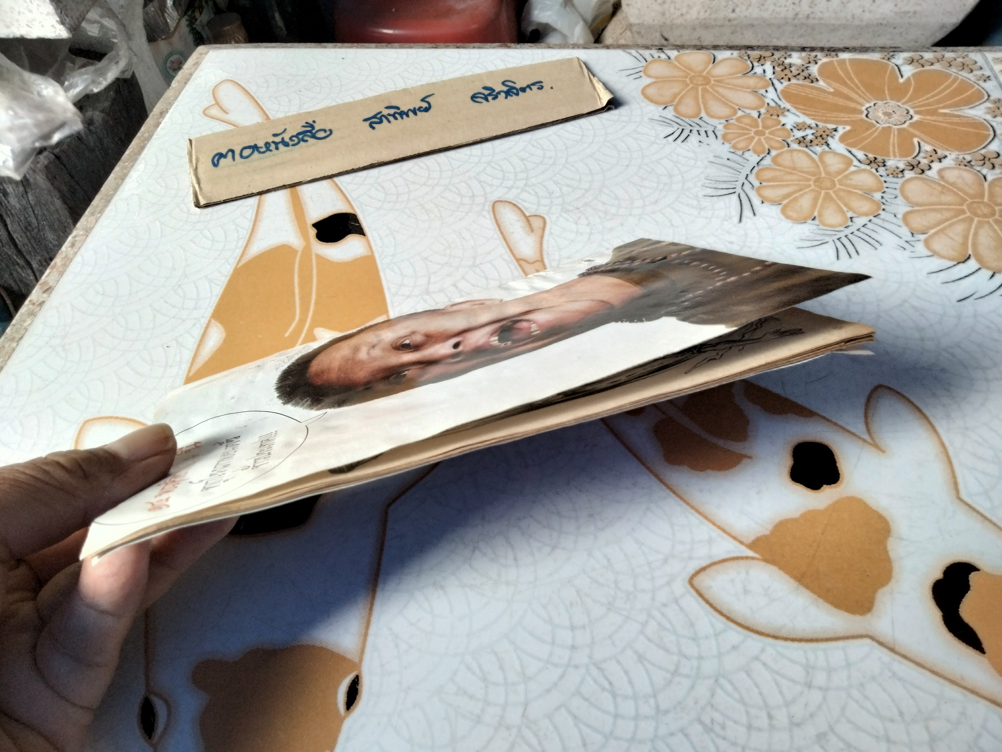 บุปผาราตรี - นิยายภาพสยองขวัญ จากภาพยนตร์ ผลงานของผู้กำกับ ยุทธเลิศ **สินค้าหมด**