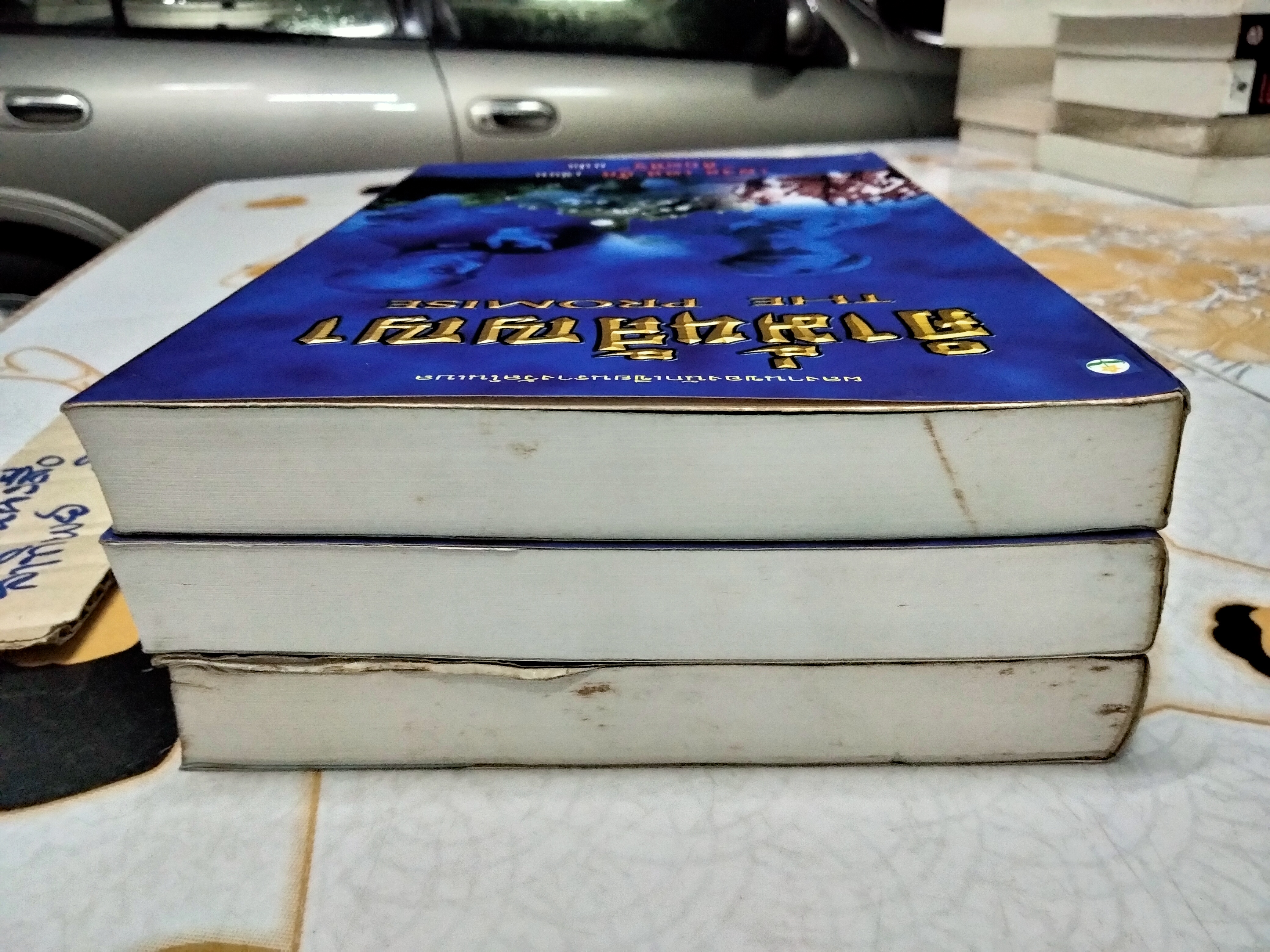 คำมั่นสัญญา (THE PROMISE) ผลงานเขียนอง "เพิร์ล เอส บั๊ก" (นักเขียนรางวัลโนเบล) : สันตสิริ แปล