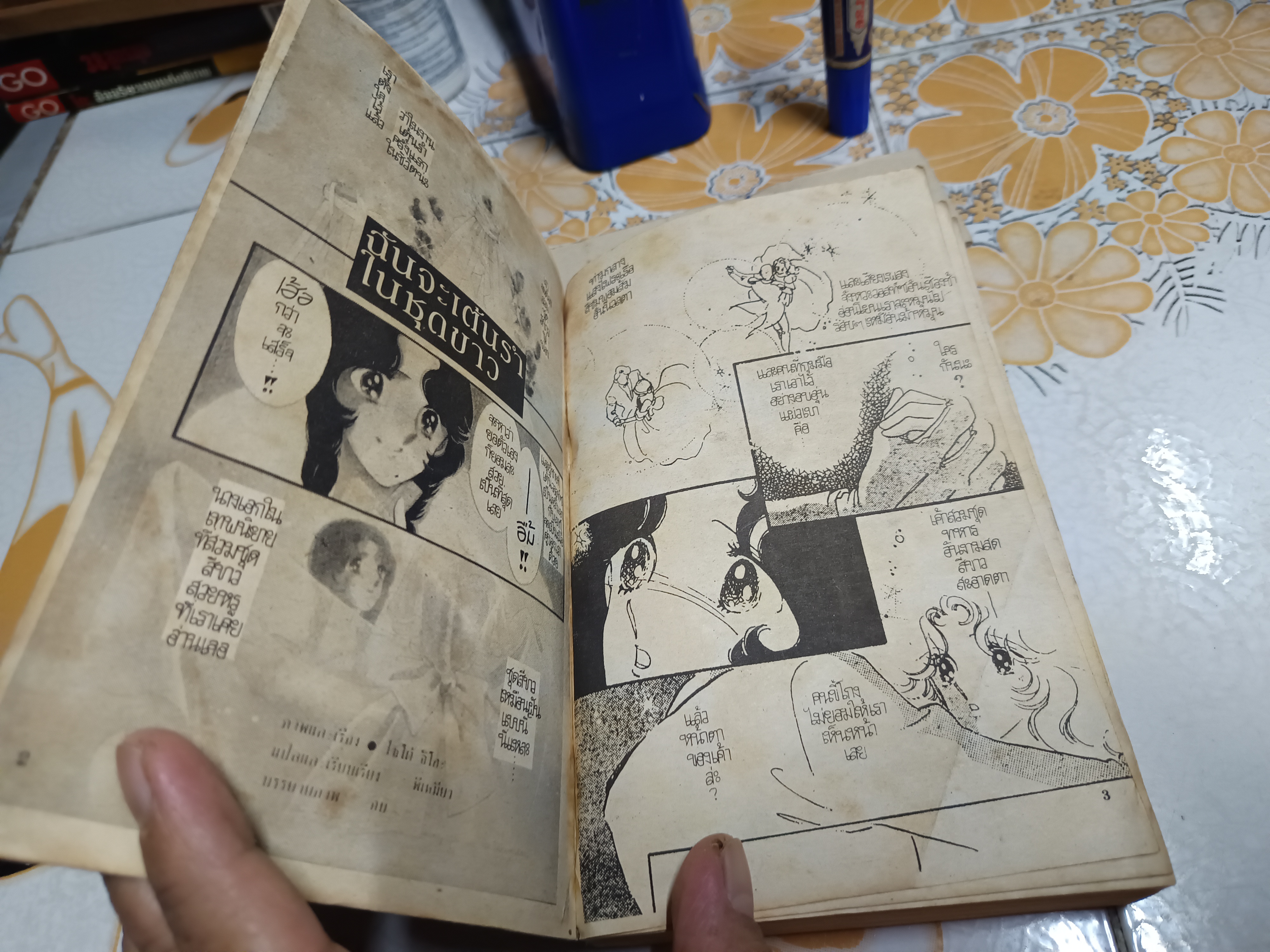 ฉันจะเต้นรำในชุดขาว (ฉบับรวมเล่ม)