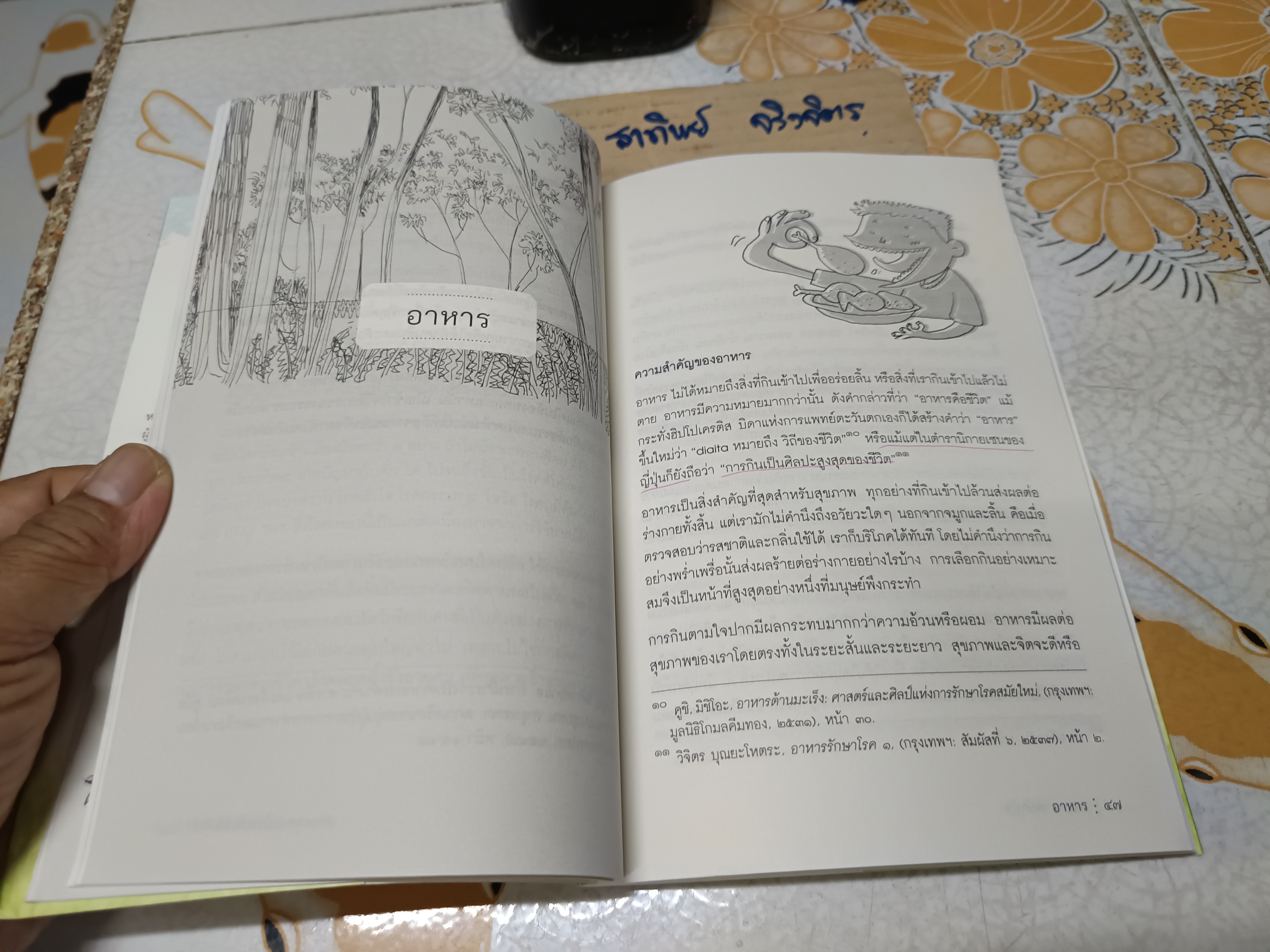 ธรรมชาติบำบัด: ศิลปะการเยียวยาร่างกายและจิตใจเพื่อสมดุลของชีวิต (พิมพ์ครั้งที่ 18/2561) มีรอยขีดเส้นใต้ด้วยดินสอบ้างประปราย