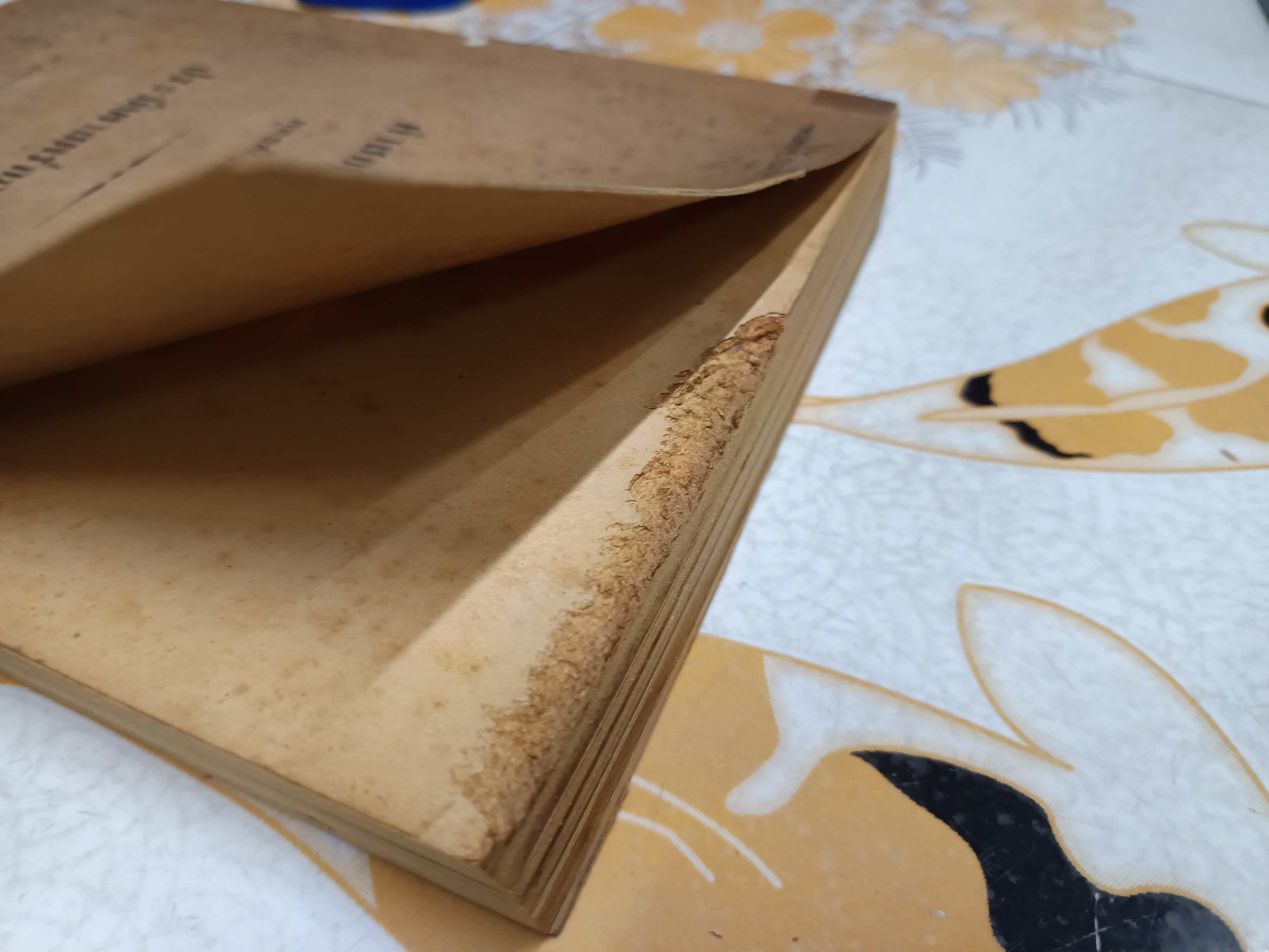 ประวัติศาสตร์กฎหมายไทย โดยศาสตราจารย์ พระยานิติศาสตร์ ไพศาลย์ **มีลายเซ็นผู้เขียนที่ปกหน้า