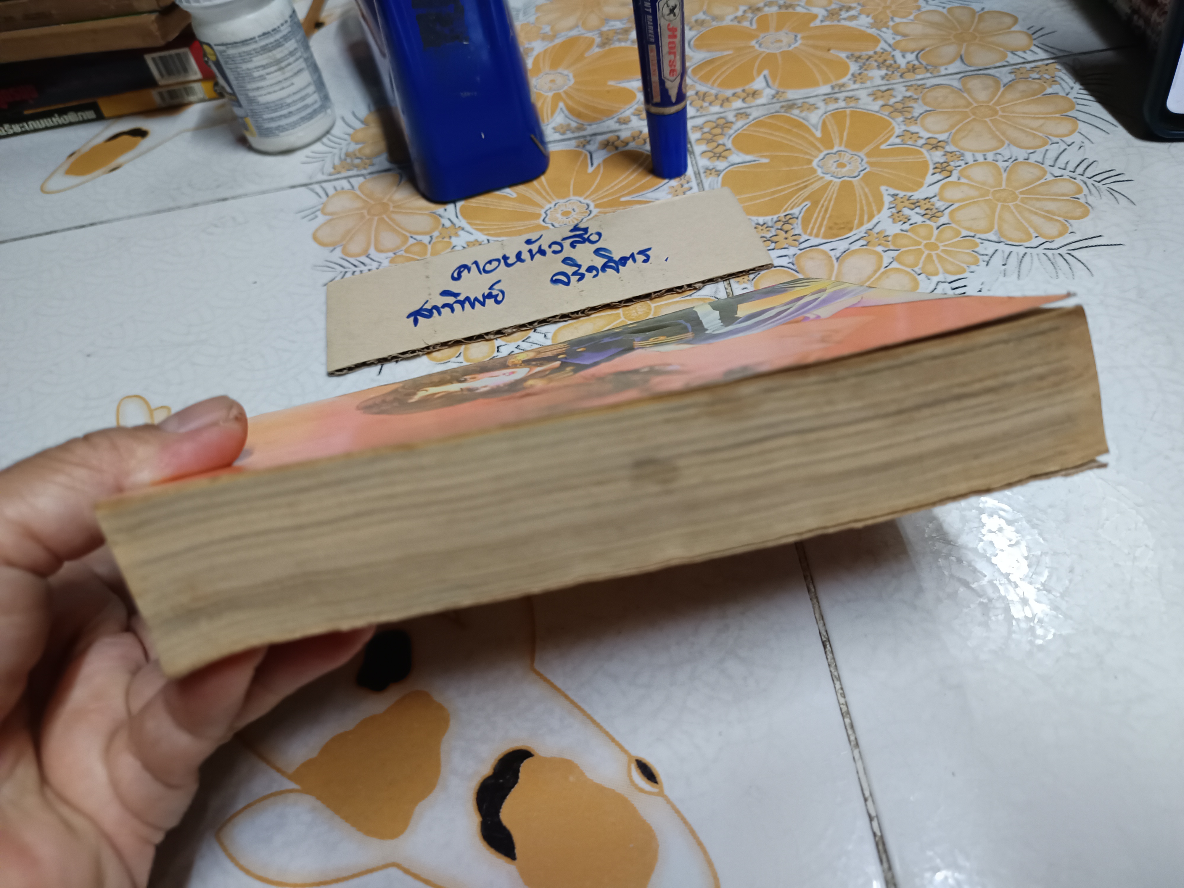 ฉันจะเต้นรำในชุดขาว (ฉบับรวมเล่ม)