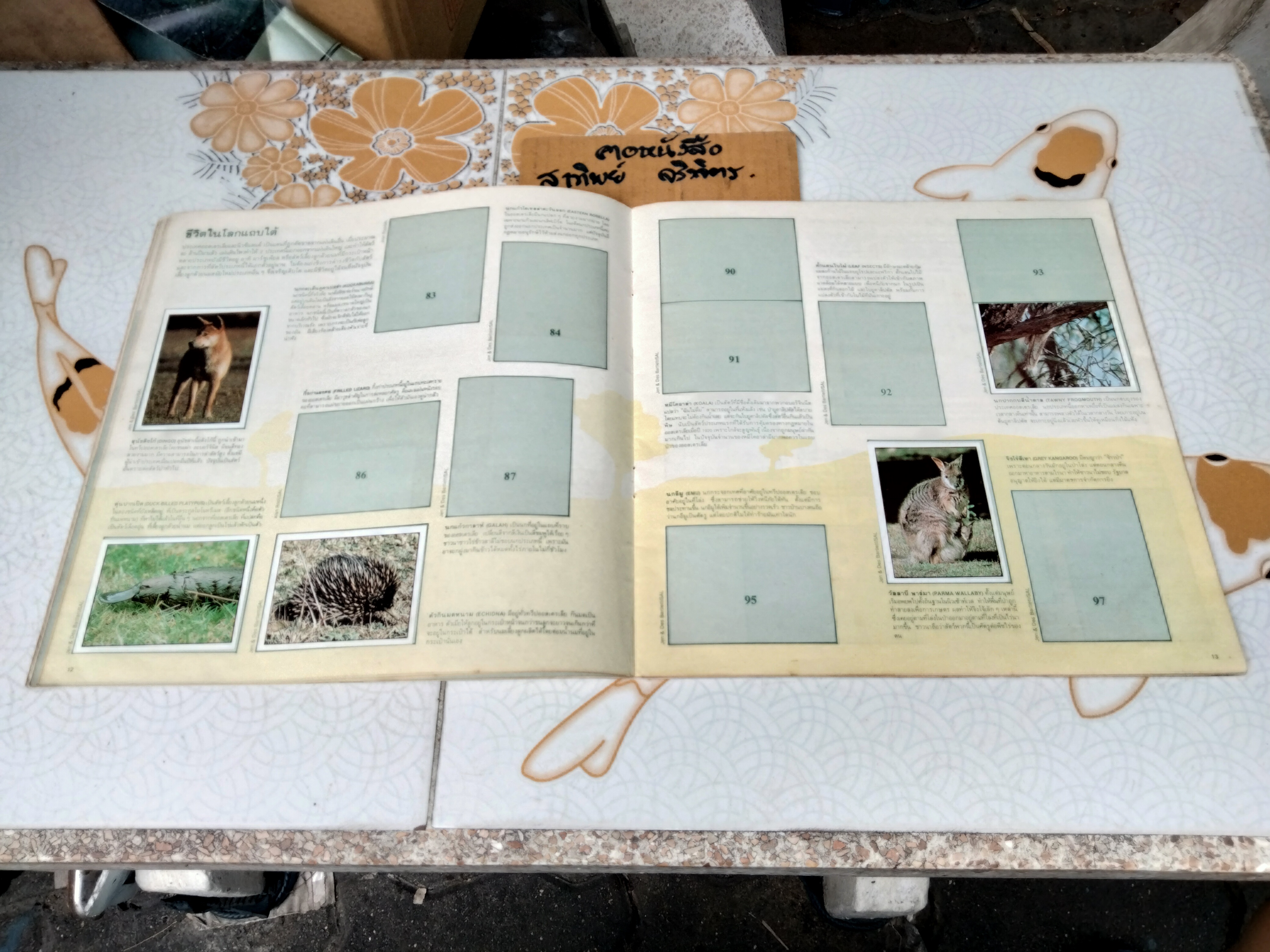 สมุดสะสมสติกเกอร์ ชีวิตสัตว์โลก (แปะไป 66 รูป/ 240 รูป)