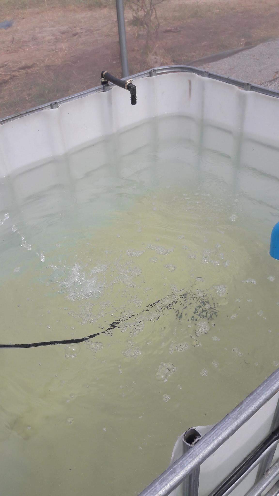 รับวางระบบอะควาโปรนิกส์