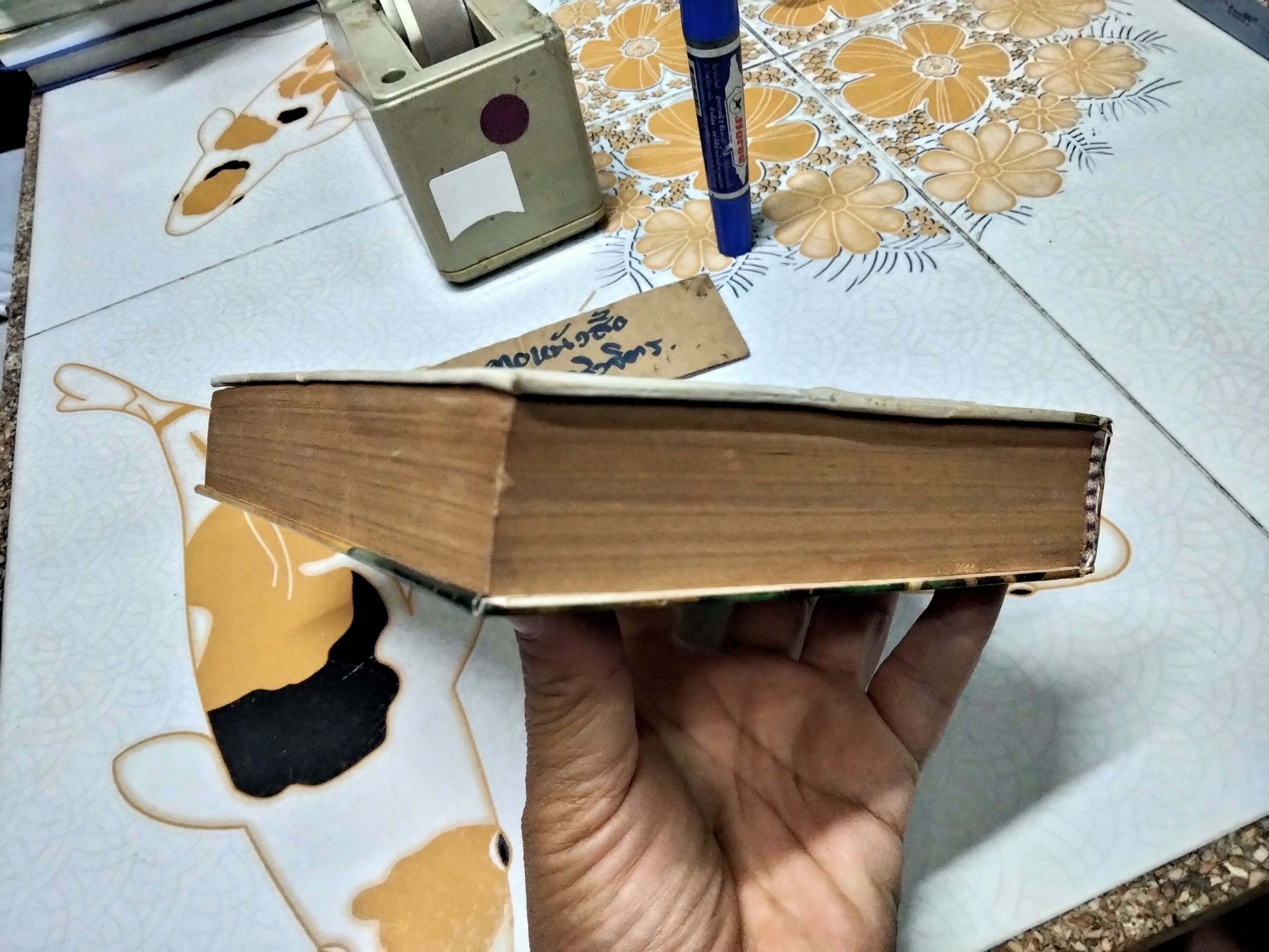 สร้อยมฤตยู (The Wanderer’s Necklace)/ เซอร์ เอช. ไรเดอร์ แฮกการ์ด เขียน, ไชยวัฒน์ แปล **หนังสือมีคราบน้ำ ปกหลังมีรอยถลอกลอก