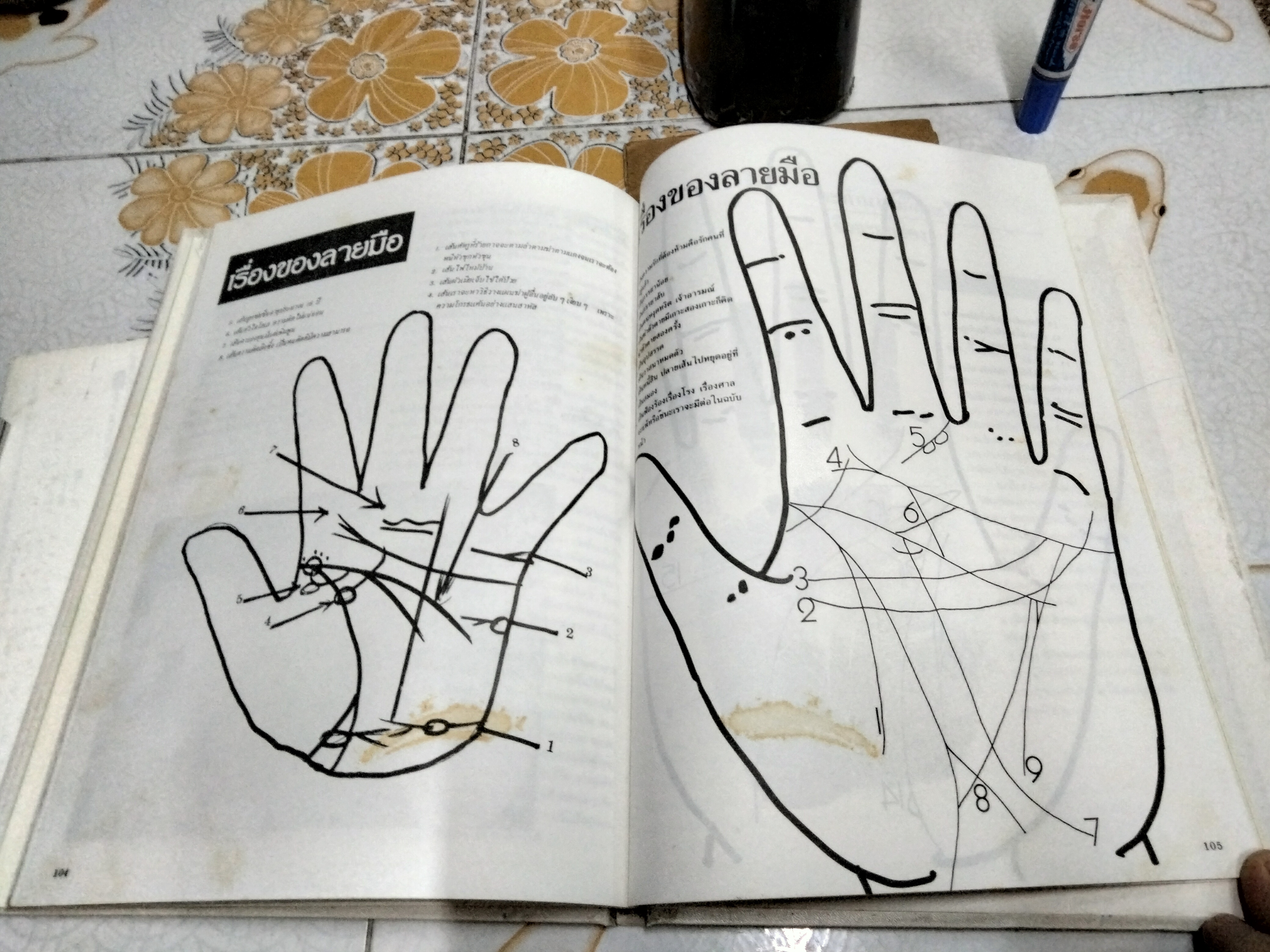 ตำราโหราศาสตร์ ว่าด้วยวิชาตัวเลข รหัสชีวิต แห่งจักรวาล (พร้อมใบแทรกเพิ่มเติม) โดย วิสาระ ประนมกรณ์ พิมพ์ครั้งแรกพ.ศ 2534 (มีรอยแหว่งเล็กน้อย) **สินค้าหมด**