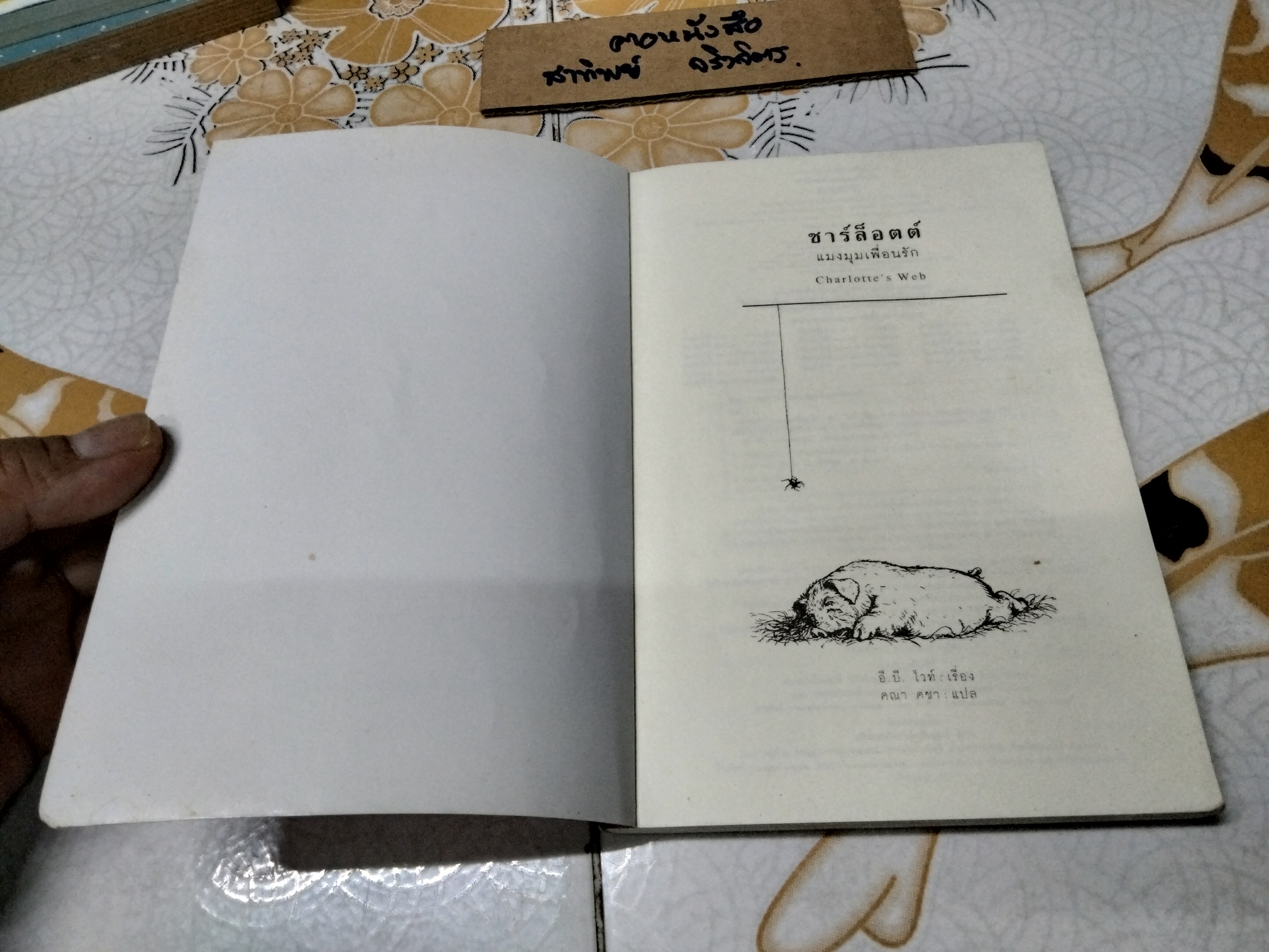 ชาร์ล็อตต์ แมงมุมเพื่อนรัก , หนังสือเด็กที่ดีที่สุดในรอบทศวรรษ ผู้เขียน E.B. White (อี. บี. ไวท์) ผู้แปล คณา คชา **สินค้าหมด**
