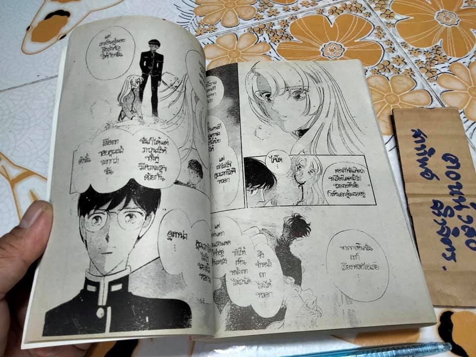 สาวน้อยดอกกุหลาบ Saito Chiho (เล่มเดียวจบ)