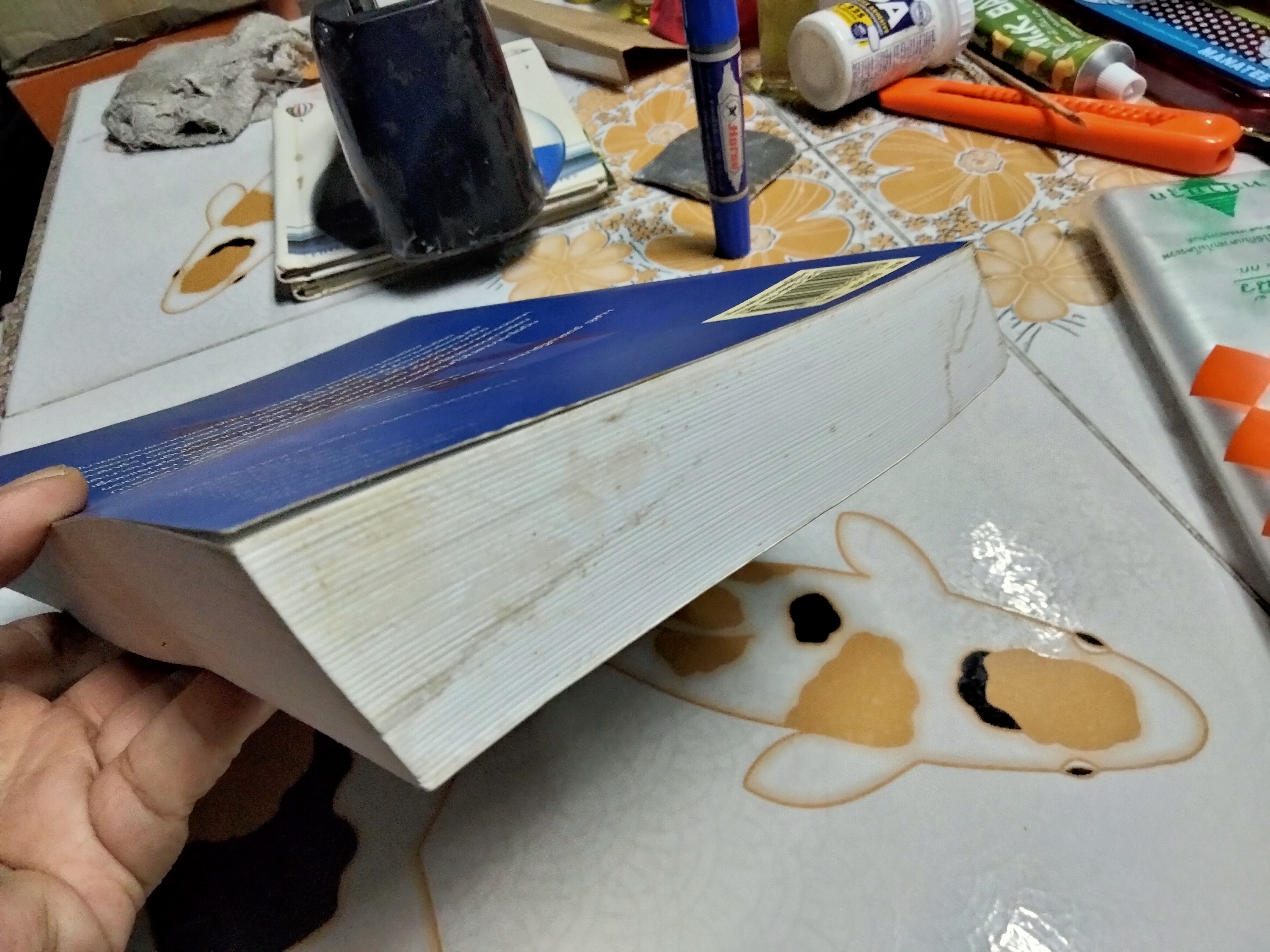 นโยบายต่างประเทศญี่ปุ่น : ความต่อเนื่องและความเปลี่ยนแปลง โดย ไชยวัฒน์ ค้ำชู (พิมพ์ครั้งแรก 2549)