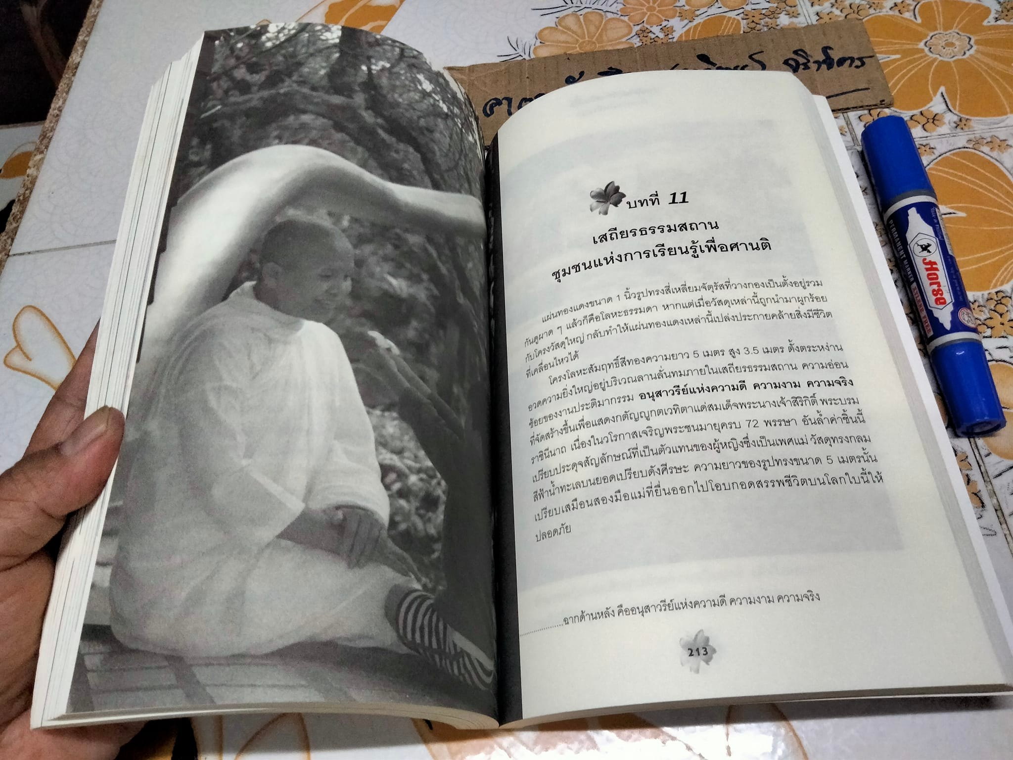แม่ชีศันสนีย์ เสถียรสุต - ก้าวย่างแห่งปัญญา โดย มนทิรา จูฑะพุทธิ **สินค้าหมด**