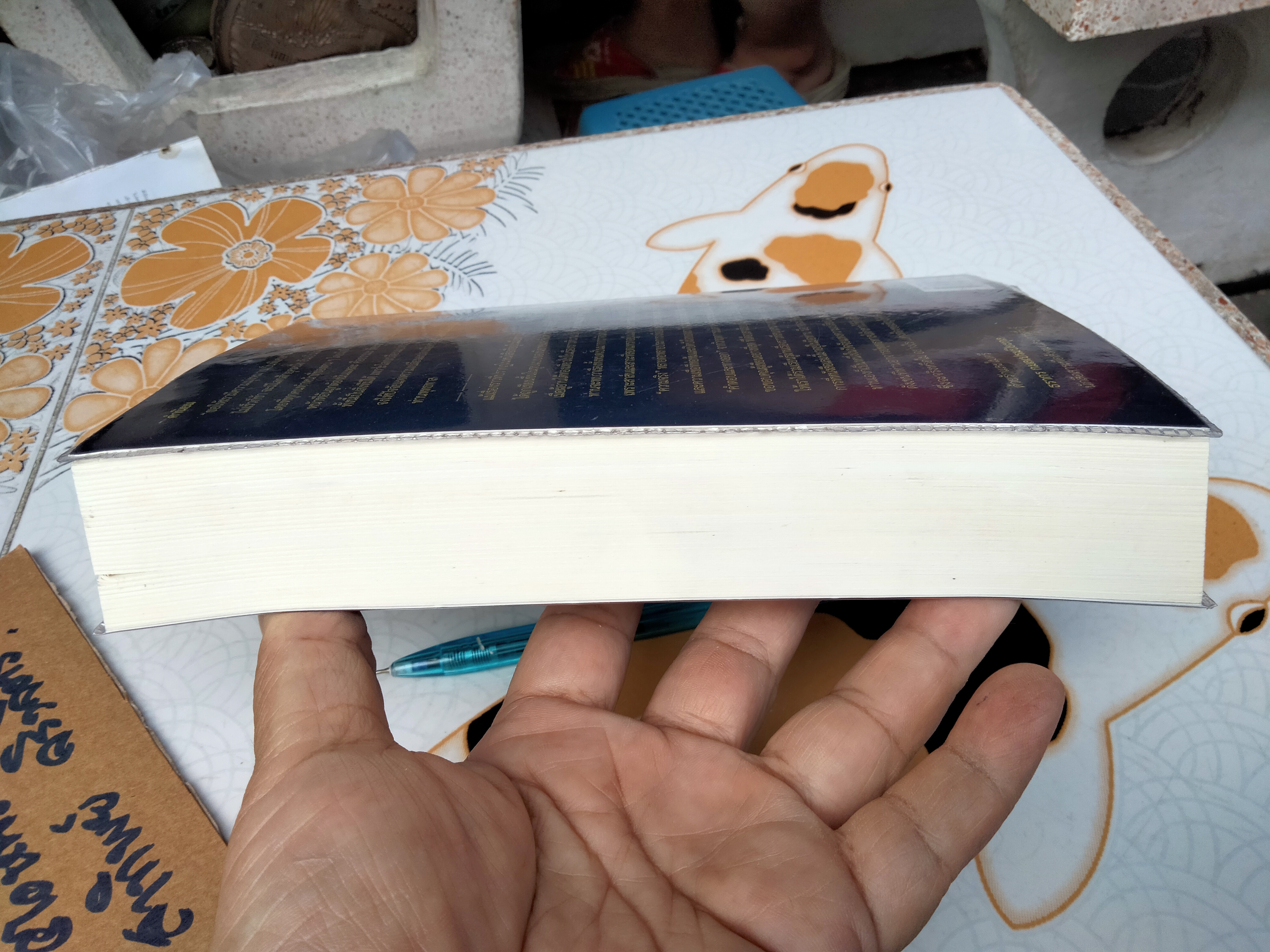 อารียา เมตายา (Areeya Metaya) โดย ธาตรี โภควนิช **สินค้าหมด**