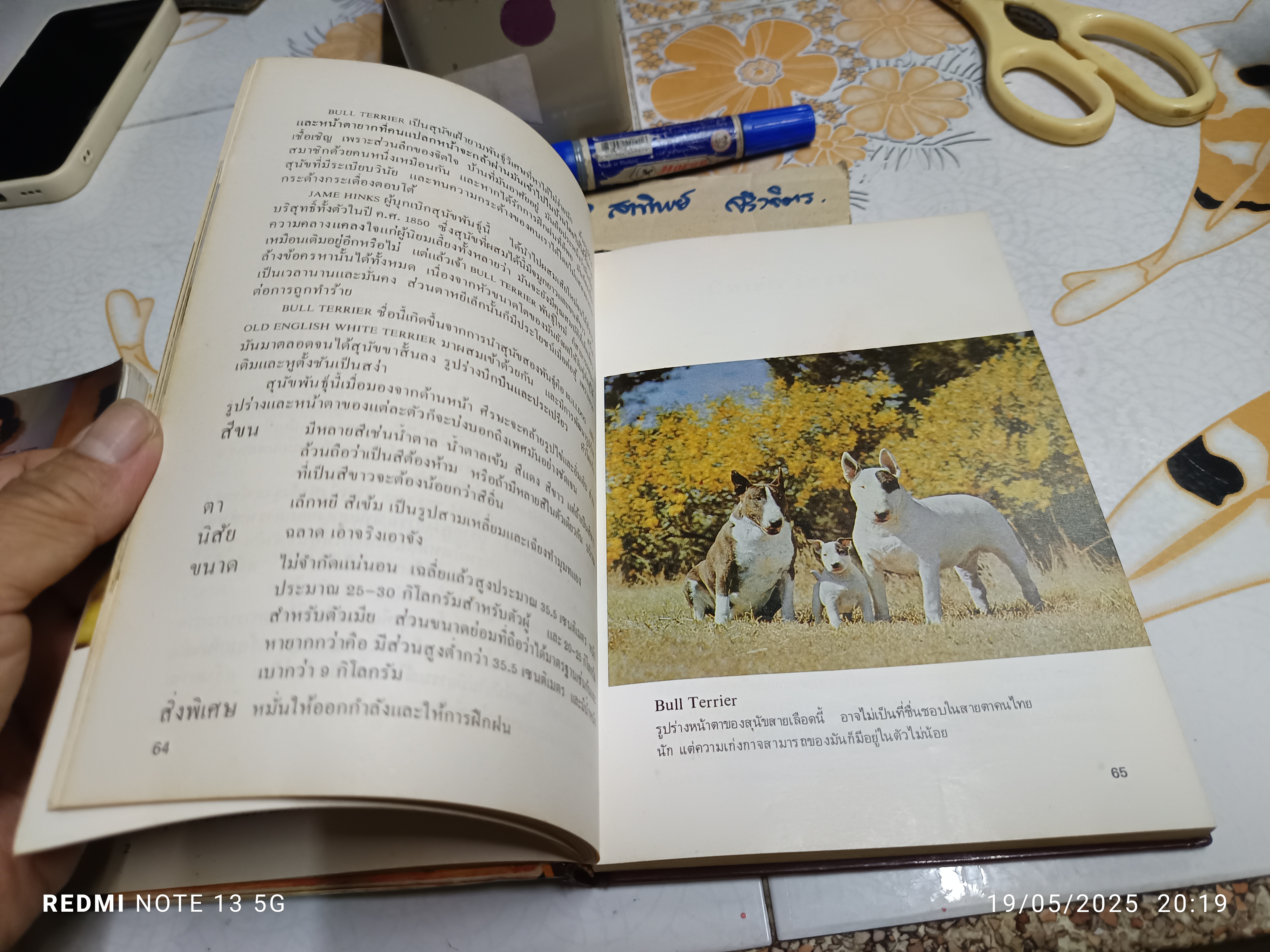 คู่มือ คนรักหมา เรียบเรียงโดย สามสี จัดพิมพ์โดย สำนักพิมพ์กราฟิคอาร์ต **สินค้าหมด**