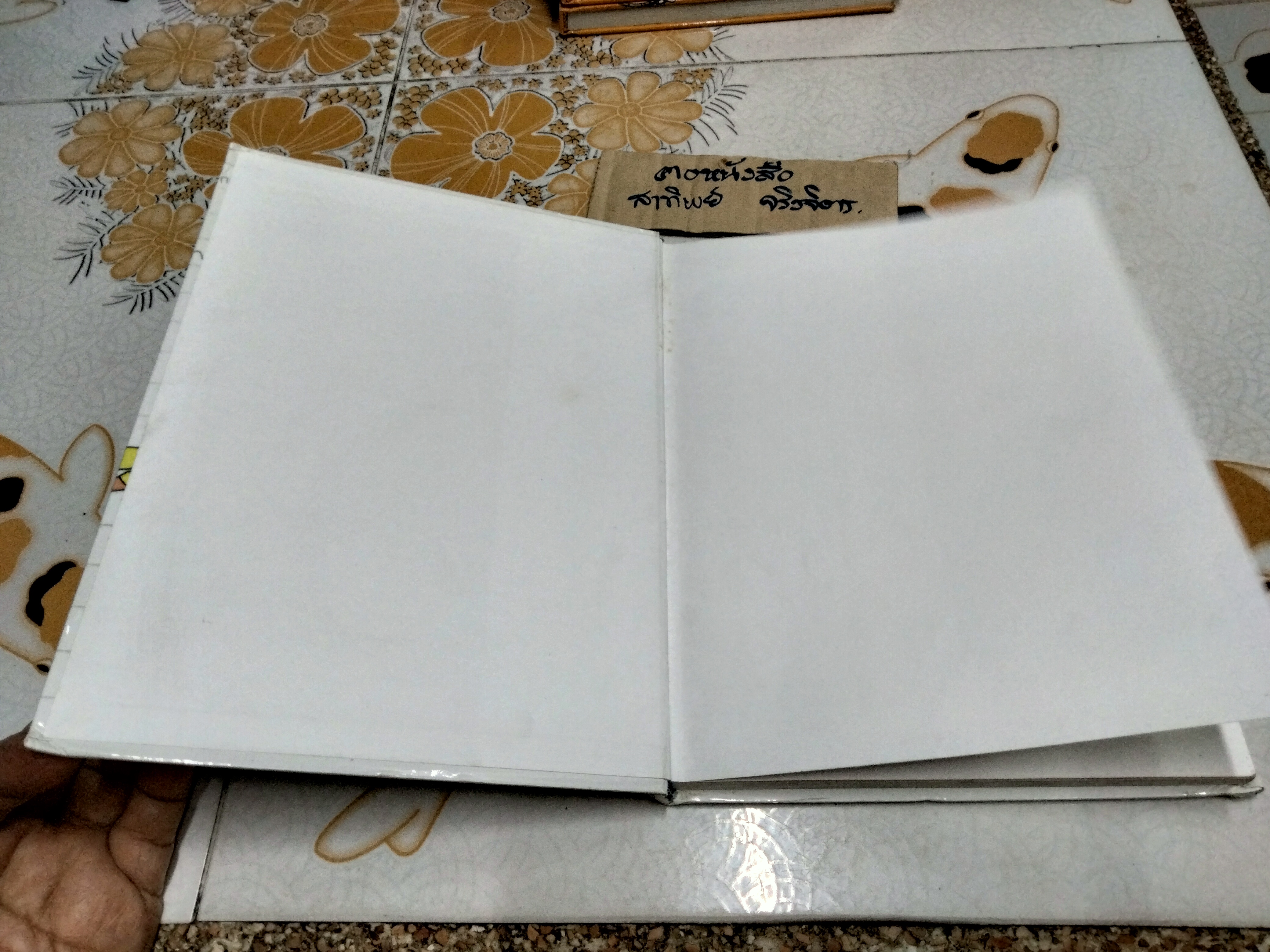 ไดอารี่วันละ 3 ประโยค (ปกแข็ง)