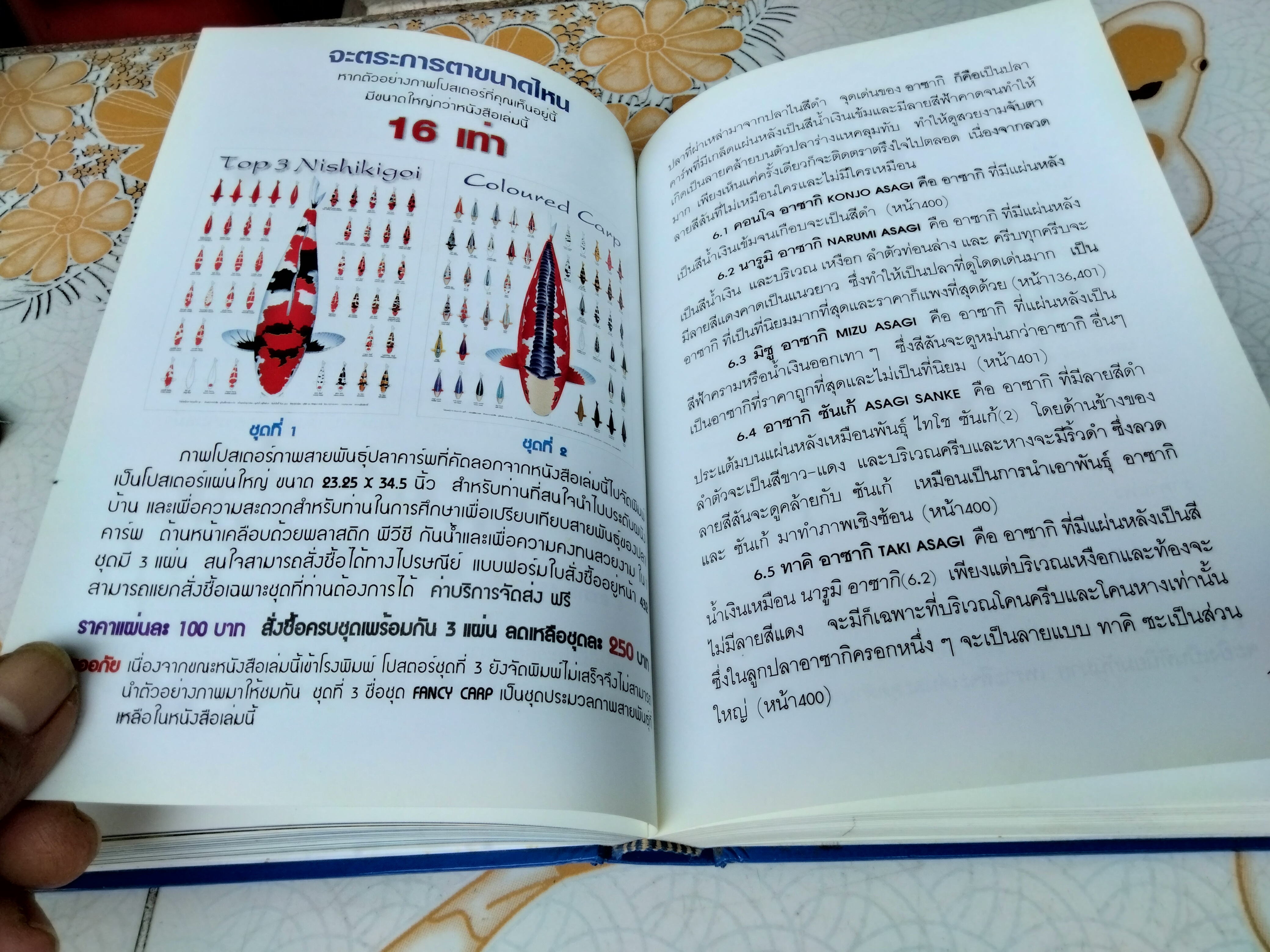 คู่มือเลี้ยงปลาคาร์พ โดย สุรศักดิ์ วงศ์กิตติเวช HANDBOOK OF NISHIKIGOI **สินค้าหมด**