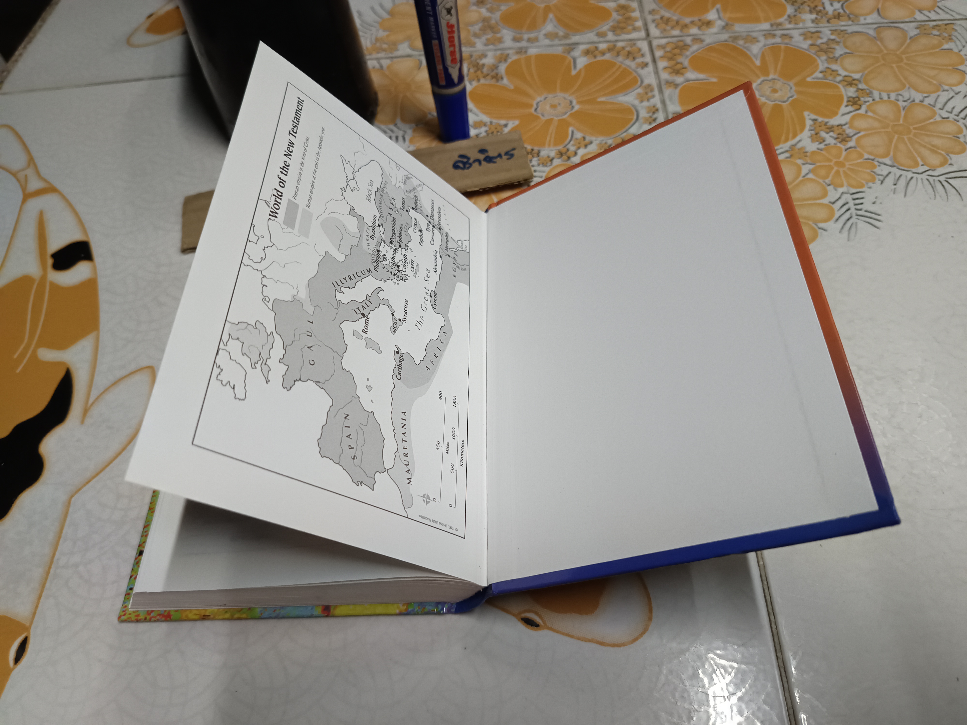 Youth Bible (Global Edition) (CEV) **สินค้าหมด**