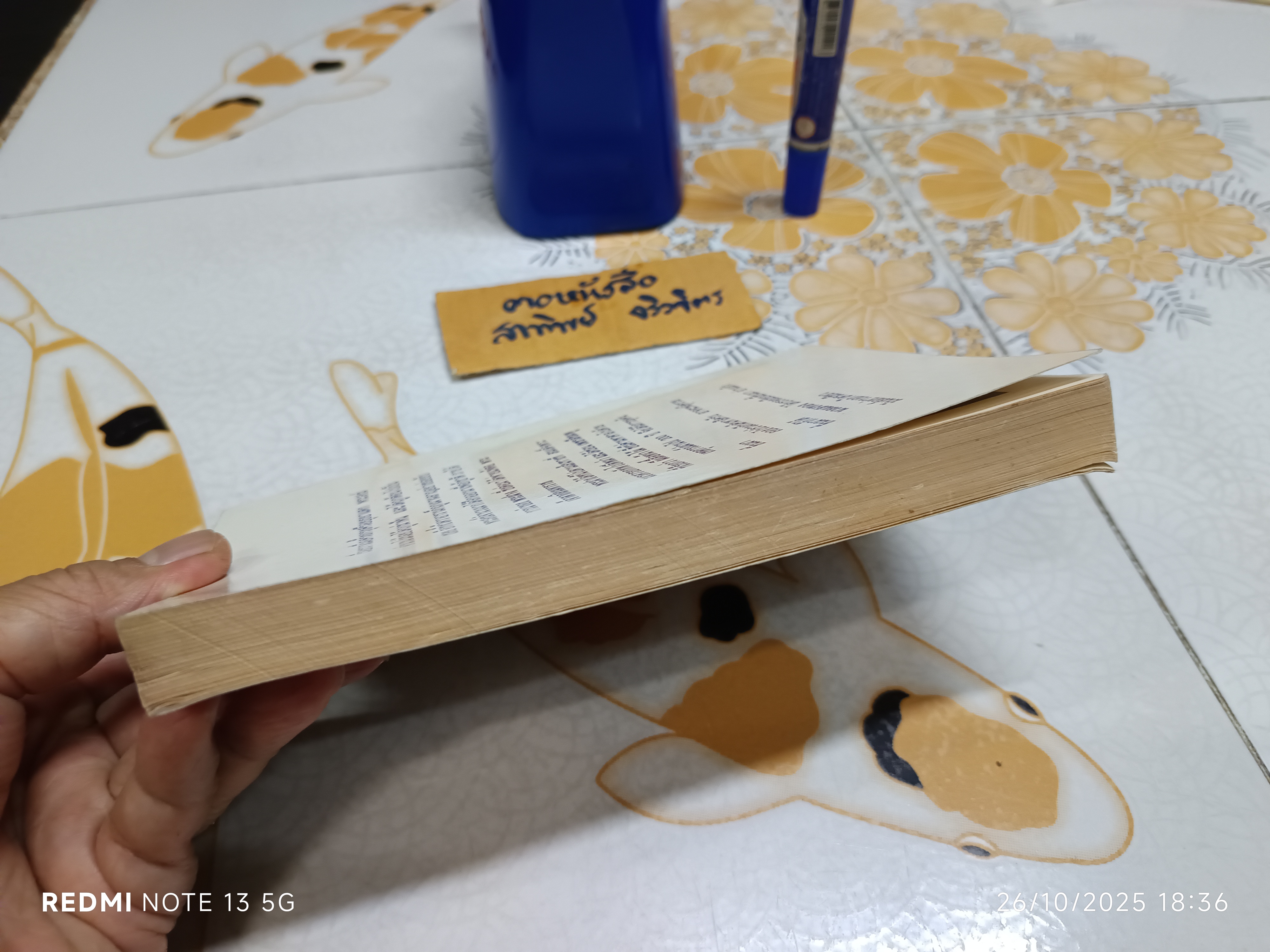 สมบัติเจ้าพระฝาง โดย นวลแสงทอง (หรือ ประโพธ เปาโรหิตย์) สนพ.โลกทิพย์ จัดพิมพ์ **สินค้าหมด**