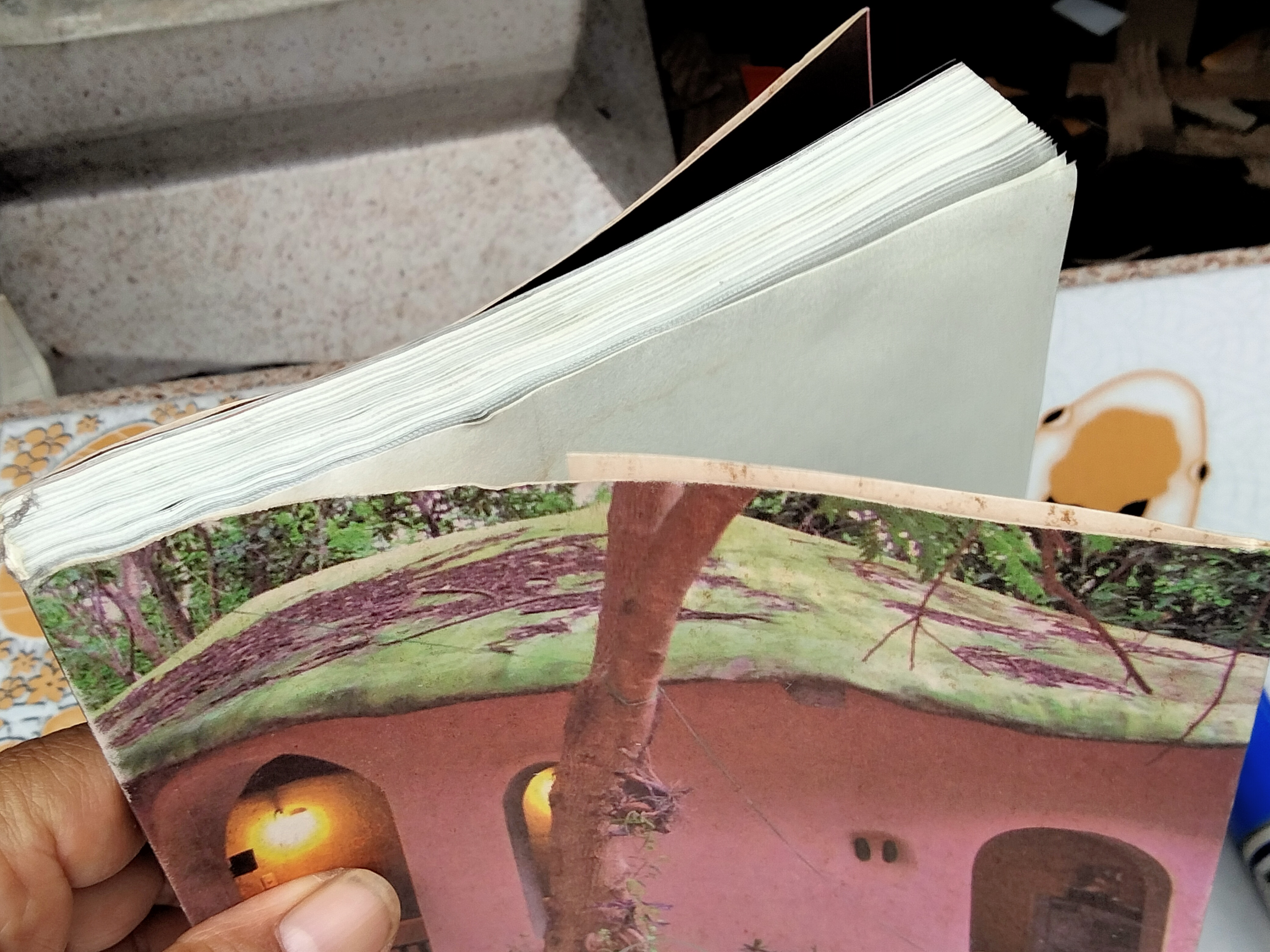 สร้างบ้านด้วยดิน จากดินสู่บ้าน... ธนา อุทัยภัตรากูร และทีมงานบ้านดิน อาศรมวงศ์สนิท (หนังสือมีคราบน้ำ) **สินค้าหมด**