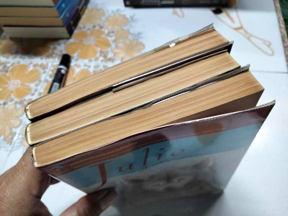 จูลี่ Julie ( วรรณกรรมไตรภาค 3 เล่มจบ) วรรณกรรมเยาวชนรางวัลเหรียญทอง Newbery Medal Book