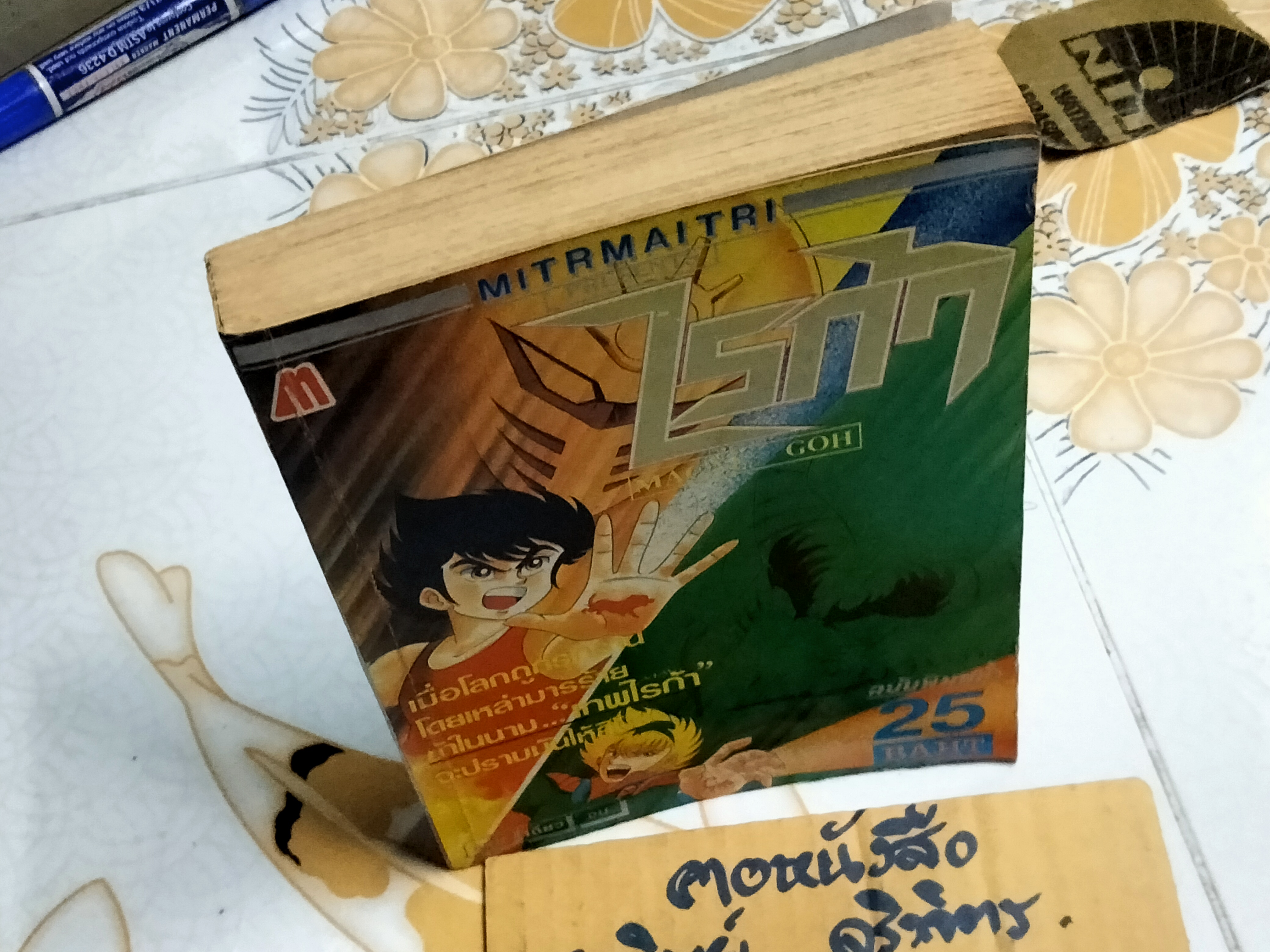 ไรก้า (เล่มเดียวจบ-ฉบับพิมพ์ซ้ำ) นางาอิ โก สนพ.มิตรไมตรี **สินค้าหมด**