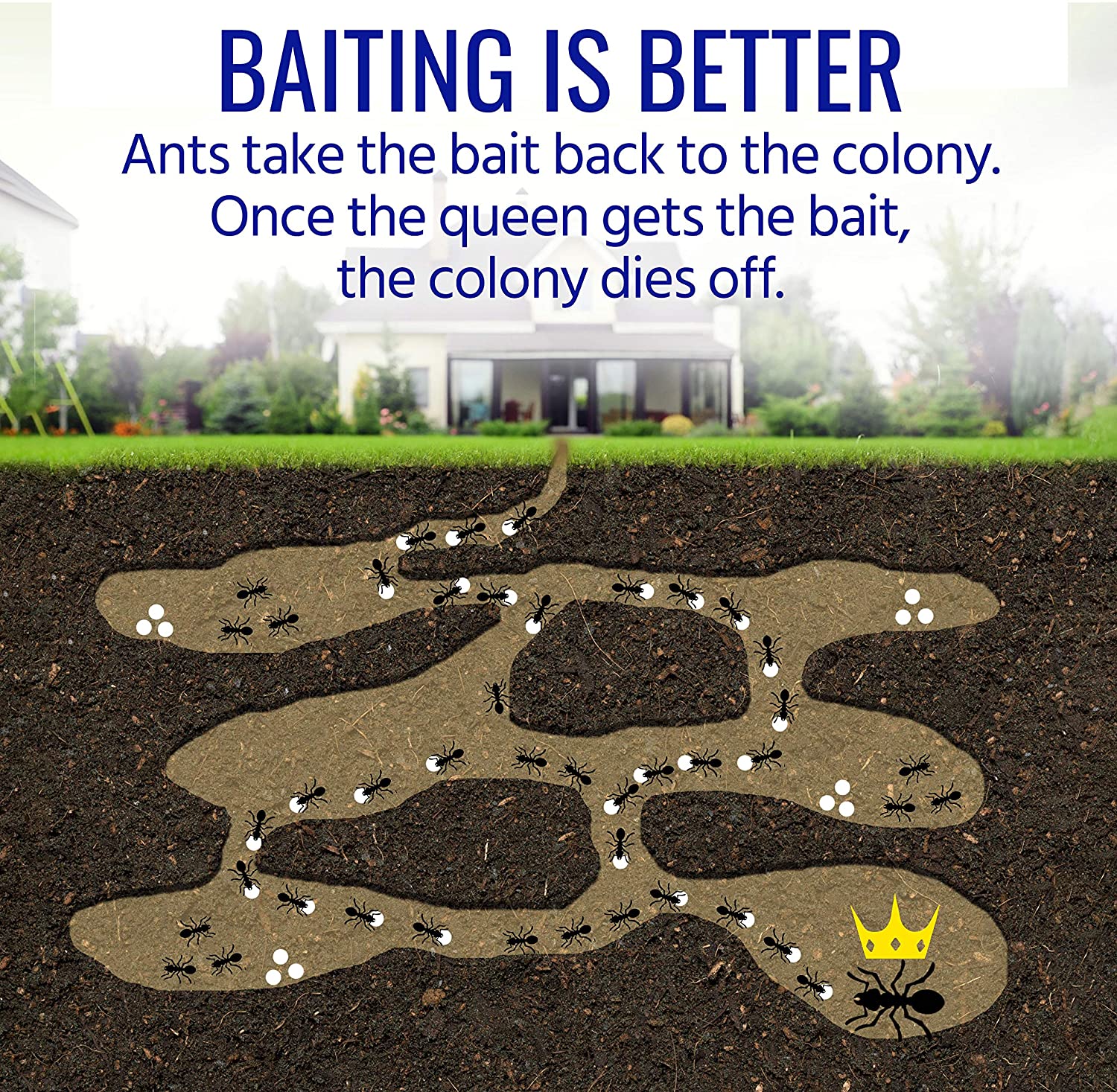 TERRO® T334B Liquid Ant Baits for Multi Surface 4 Bait Stations + Adhesive Strips ผลิตภัณฑ์กำจัดมด