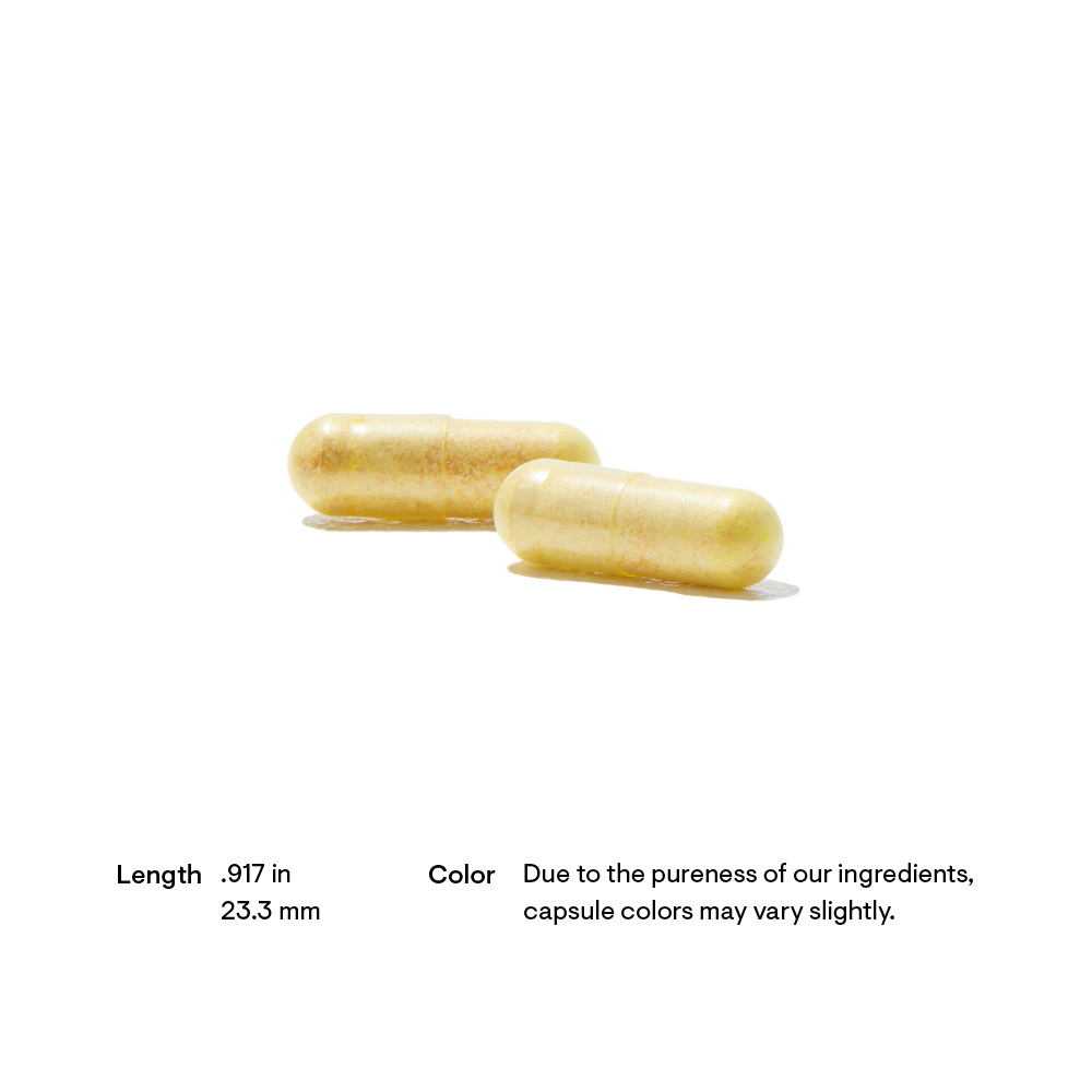 (Pre Order) THORNE® S.A.T. - Silymarin, Artichoke, and Turmeric Extracts 60 Capsules วิตามิน สารสกัดจากอาติโช๊ค