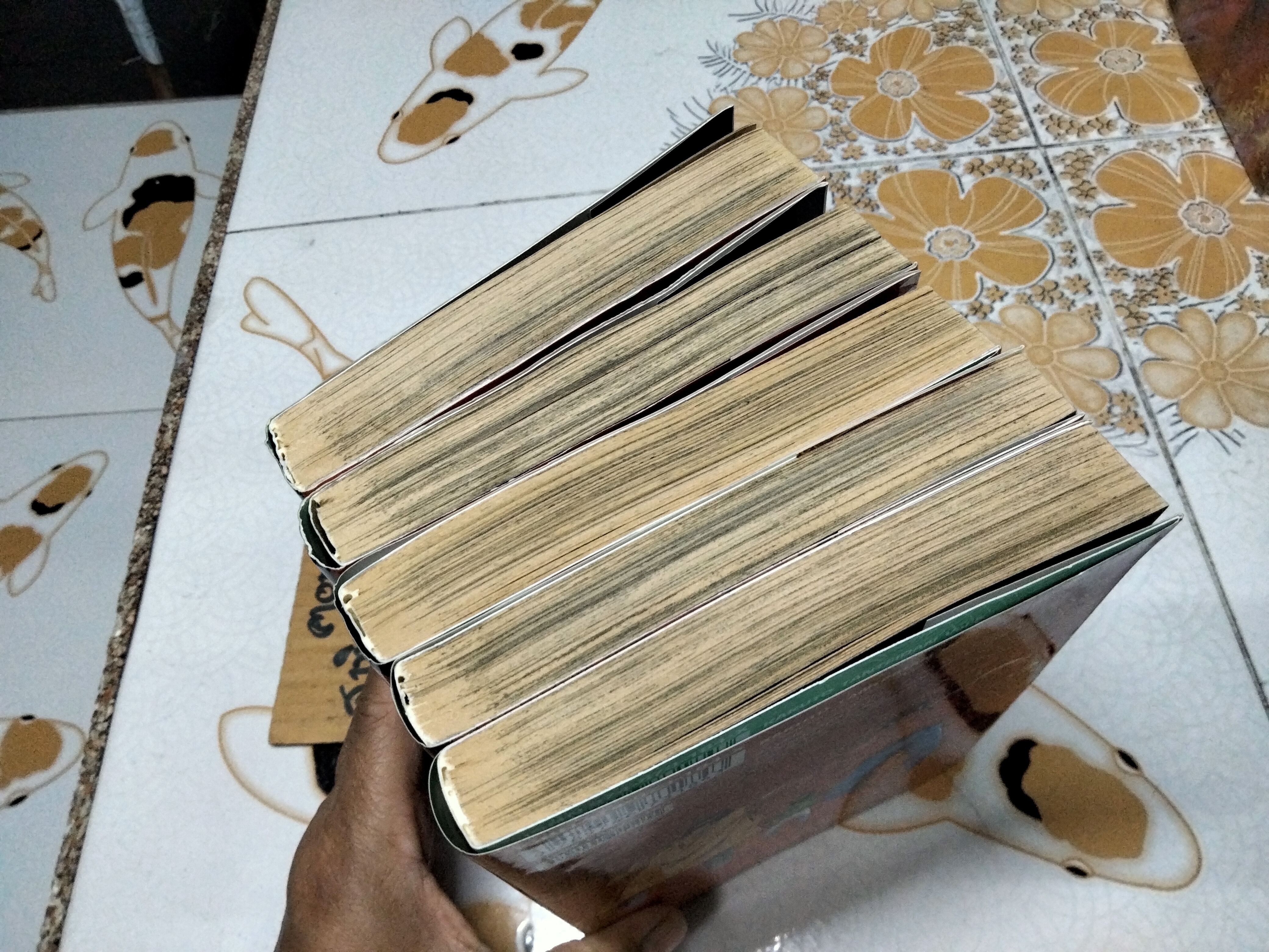 ซันชิโร่ นักสืบตะลุยดะ(5 เล่มจบ) โดย Makoto Kobayashi มาโกโตะ โคบายาชิ **สินค้าหมด**