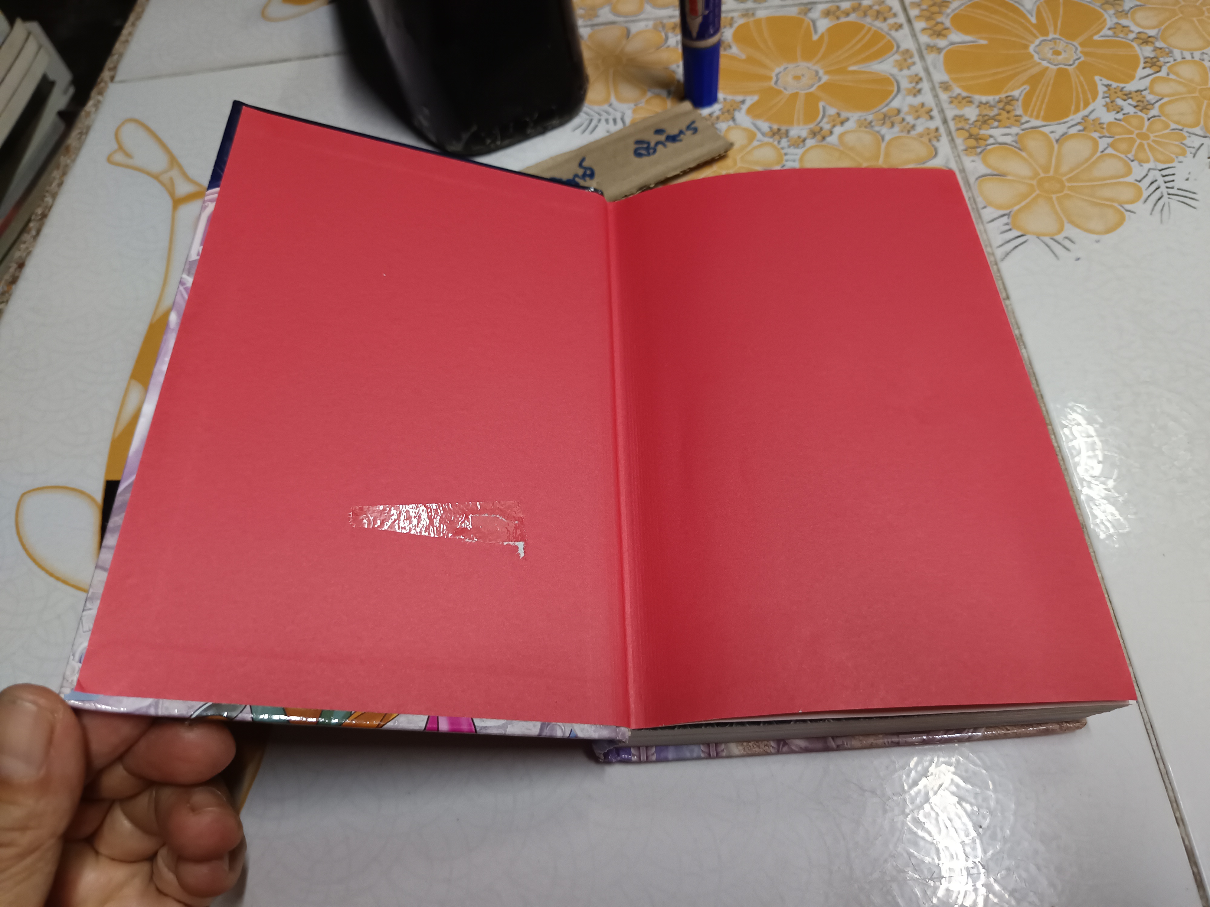 The Journey to Atlantis : Thea Stilton , Special Edition Hardcover