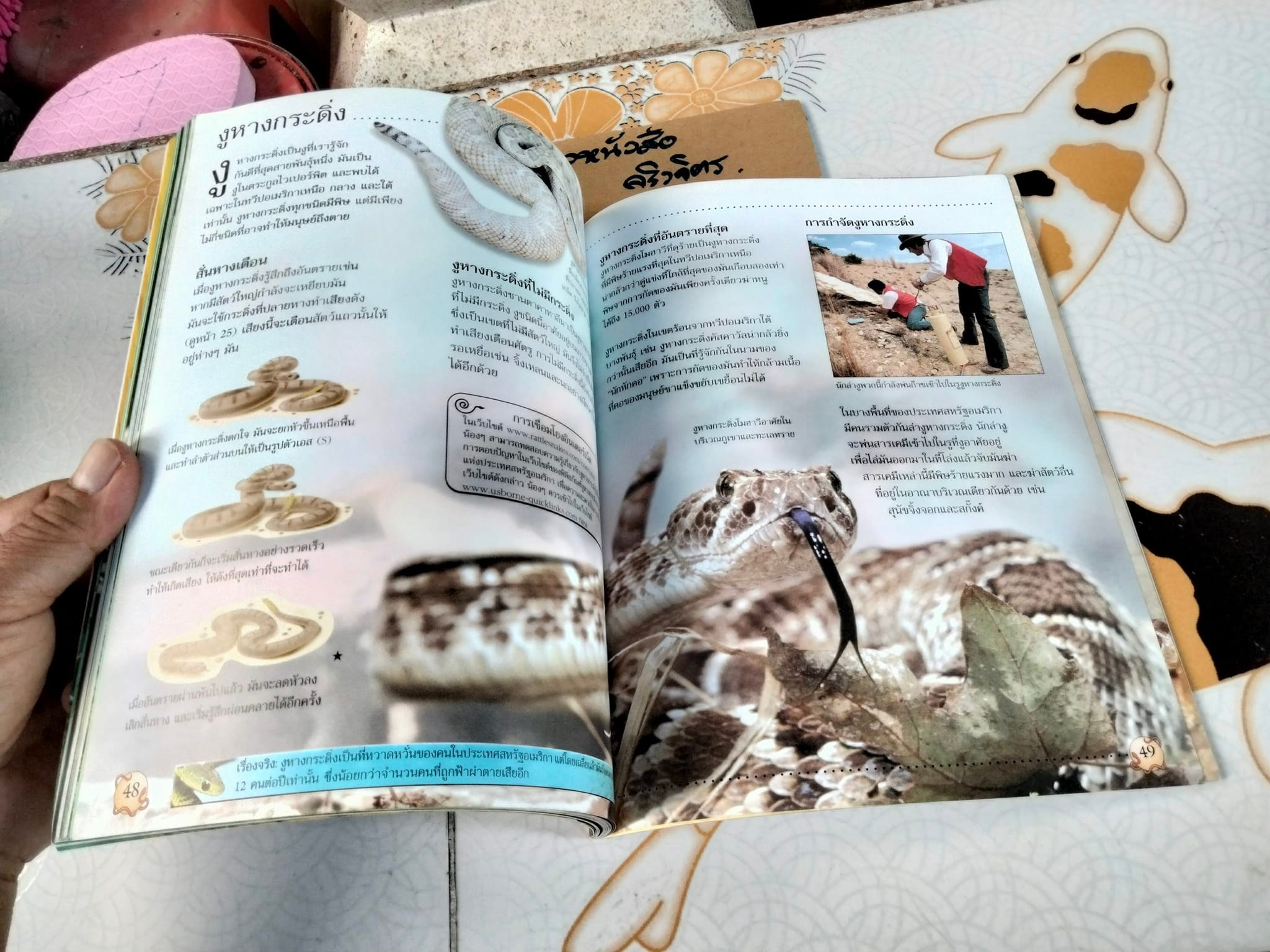 โลกของงู - Rachel Firth and Jonathan Sheikh-Miller. เขียน ,จริยา กีรติวุฒิ แปล **สินค้าหมด**