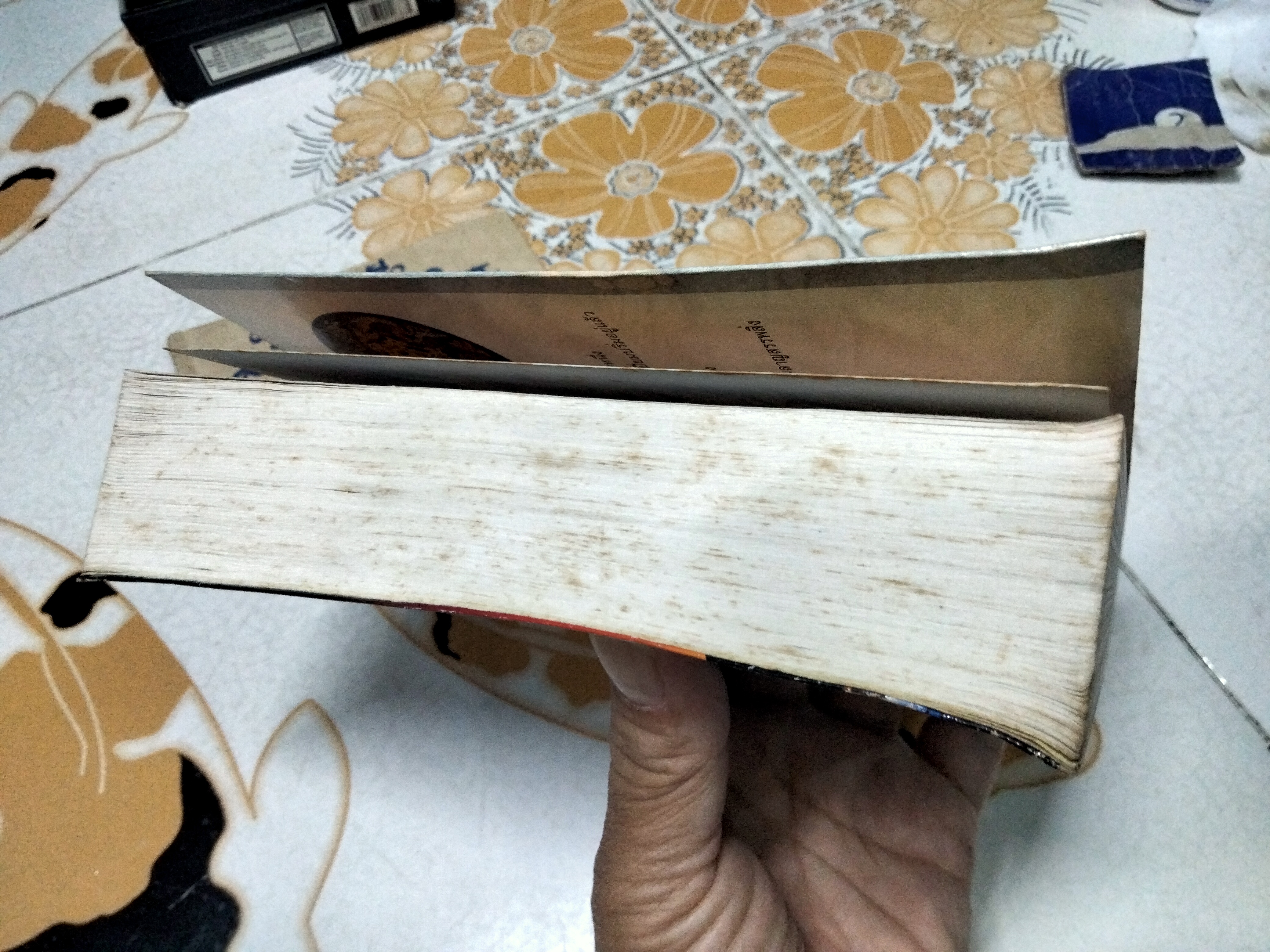 หิมาลายัน (เล่มเดียวจบ) ประภัสสร เสวิกุล พิมพ์ครั้งที่ 2/2538